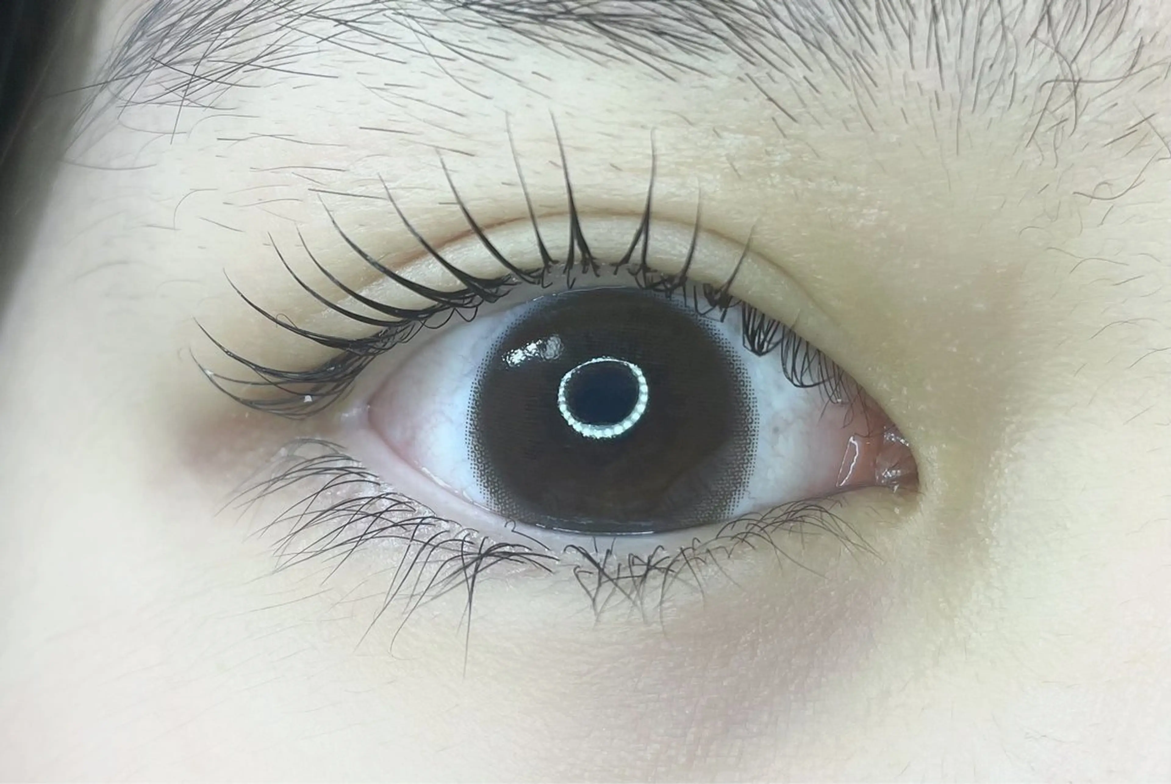 マツエク・マツパ milinoah 🧸Aiko🧸のマツエク・マツパデザイン