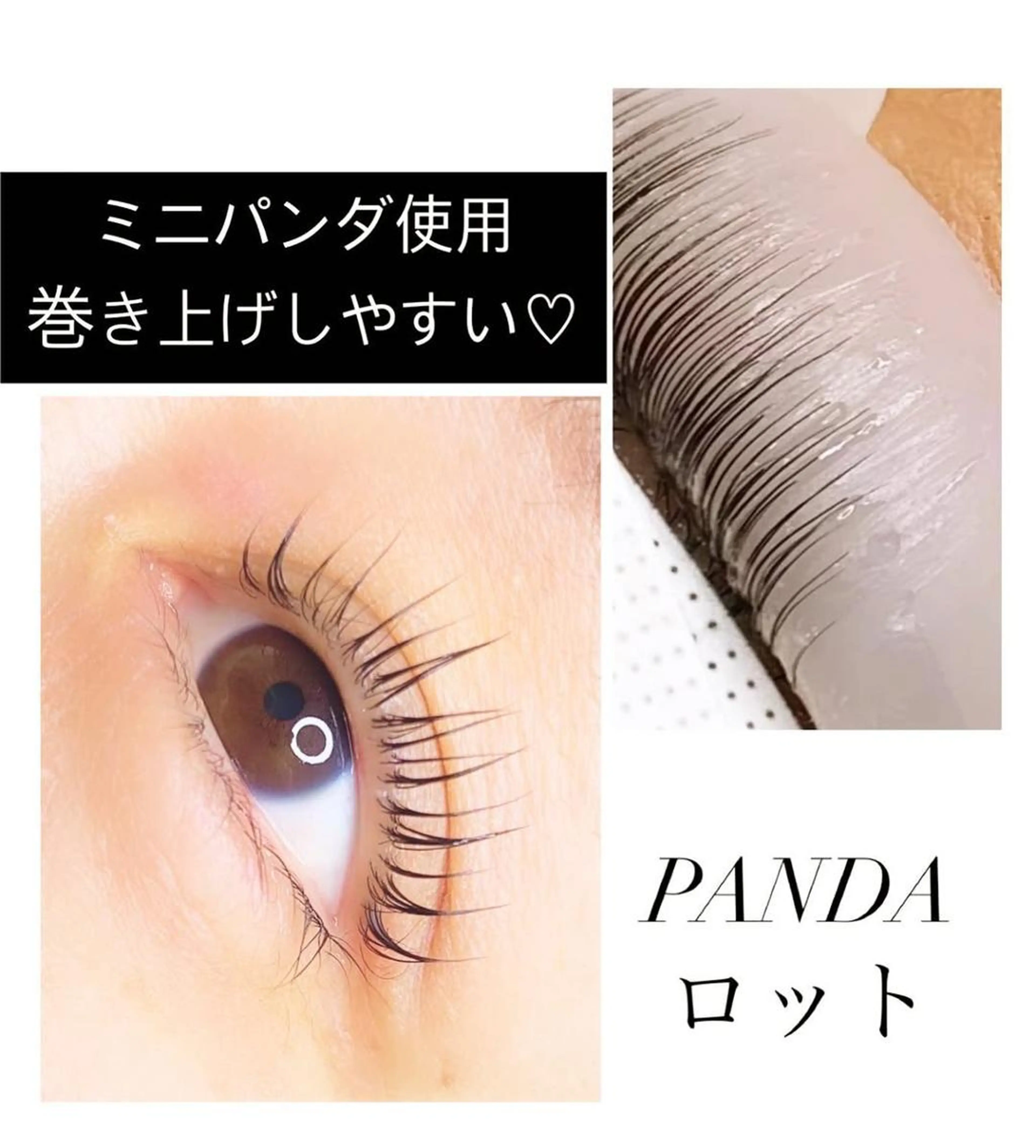 最新入荷！立ち上げデザイン 最大最長rod【パンダロード】の写真