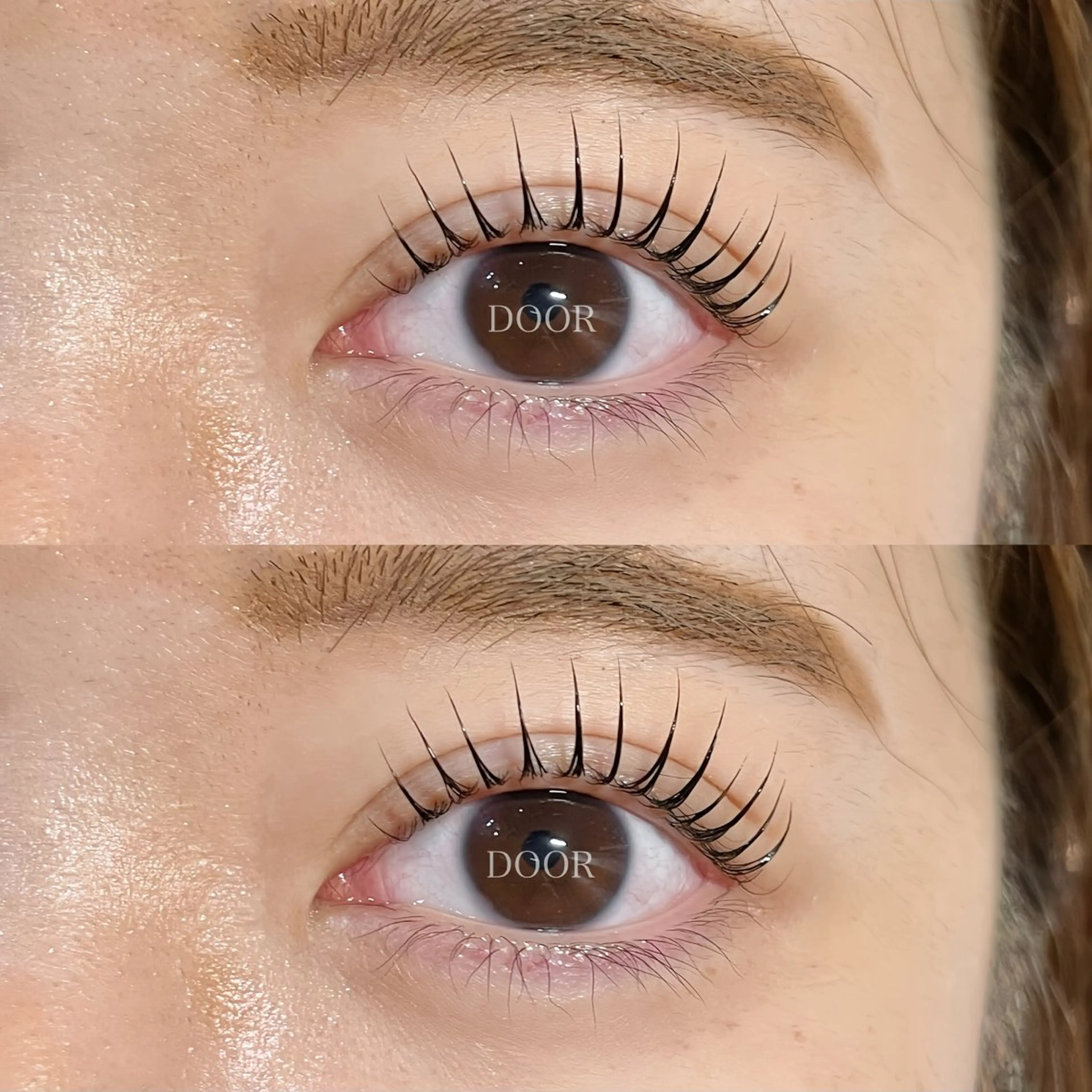 【まつ毛ティント🇰🇷】パリジェンヌラッシュリフトorまつ毛パーマ💖12月ご予約変更キャンセル不可🙇束感仕上げ🫶の写真