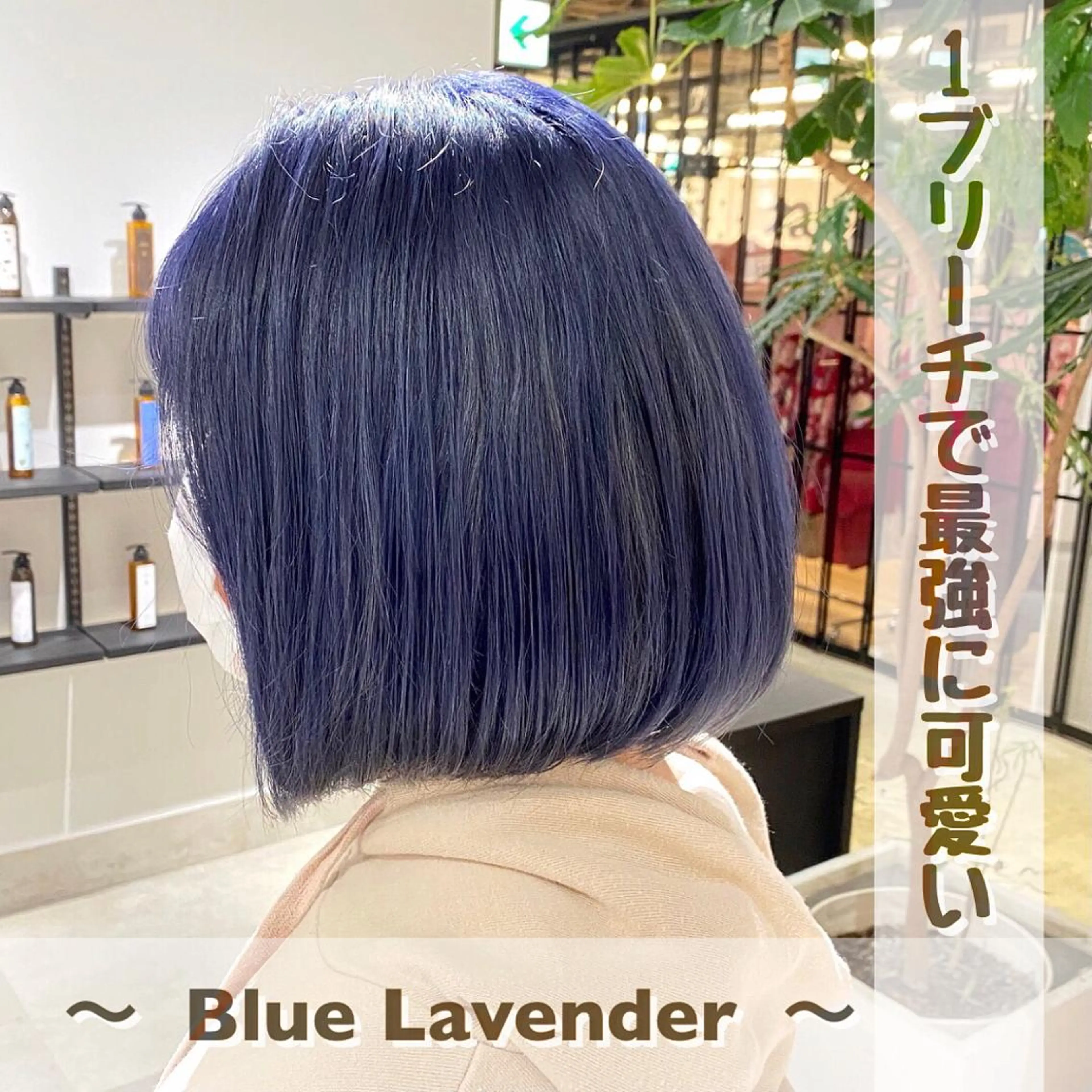 ショート カラー ヘアアレンジ カット ヘアカラー SNSで大バズり‼️ 欧米風ヘア大ヒット中のヘアスタイル