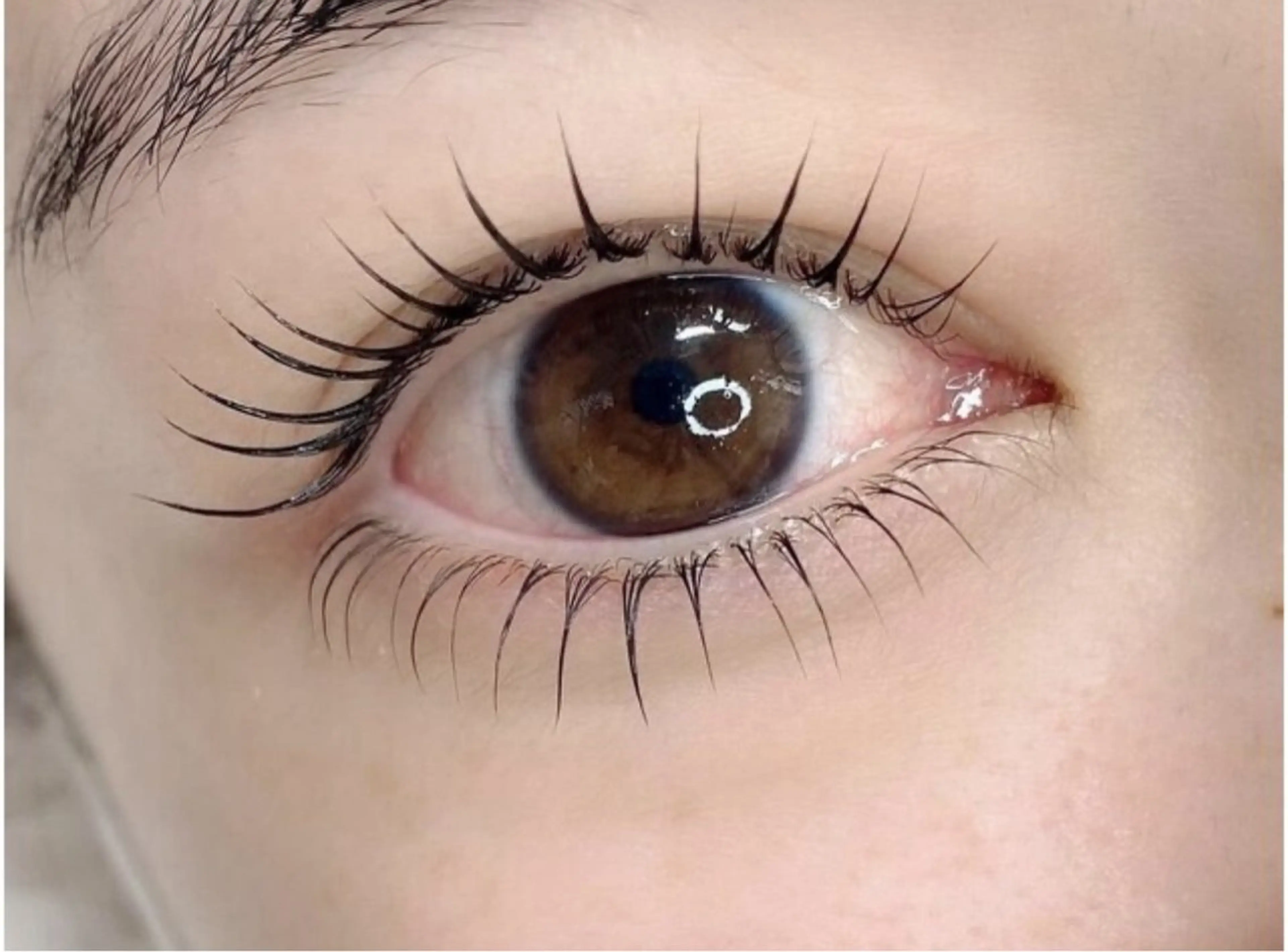 人気No.2目幅1.5倍！マスカラも塗りやすくまつ毛パーマ（上下セット）¥10000→¥7500⭐️の写真