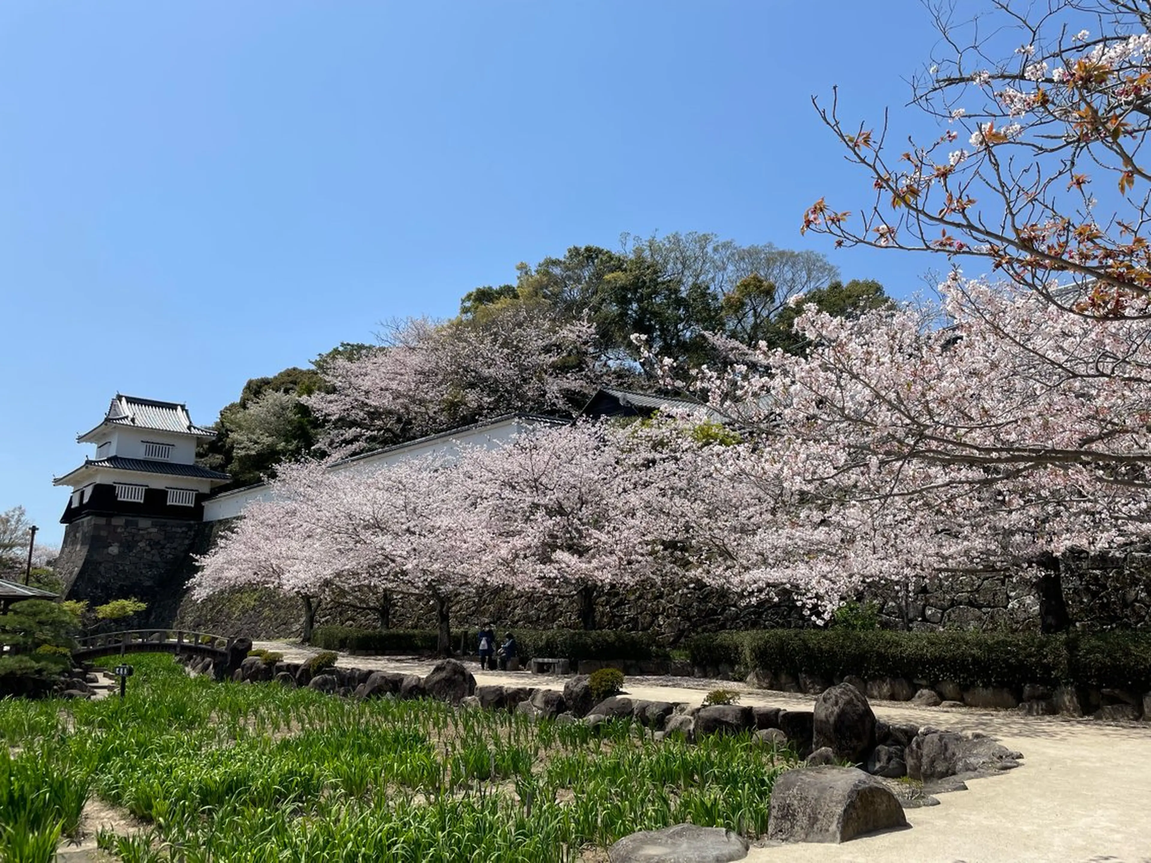 マツエク・マツパ ma cherie所属・AY アイリスト歴18年のマツエク・マツパデザイン