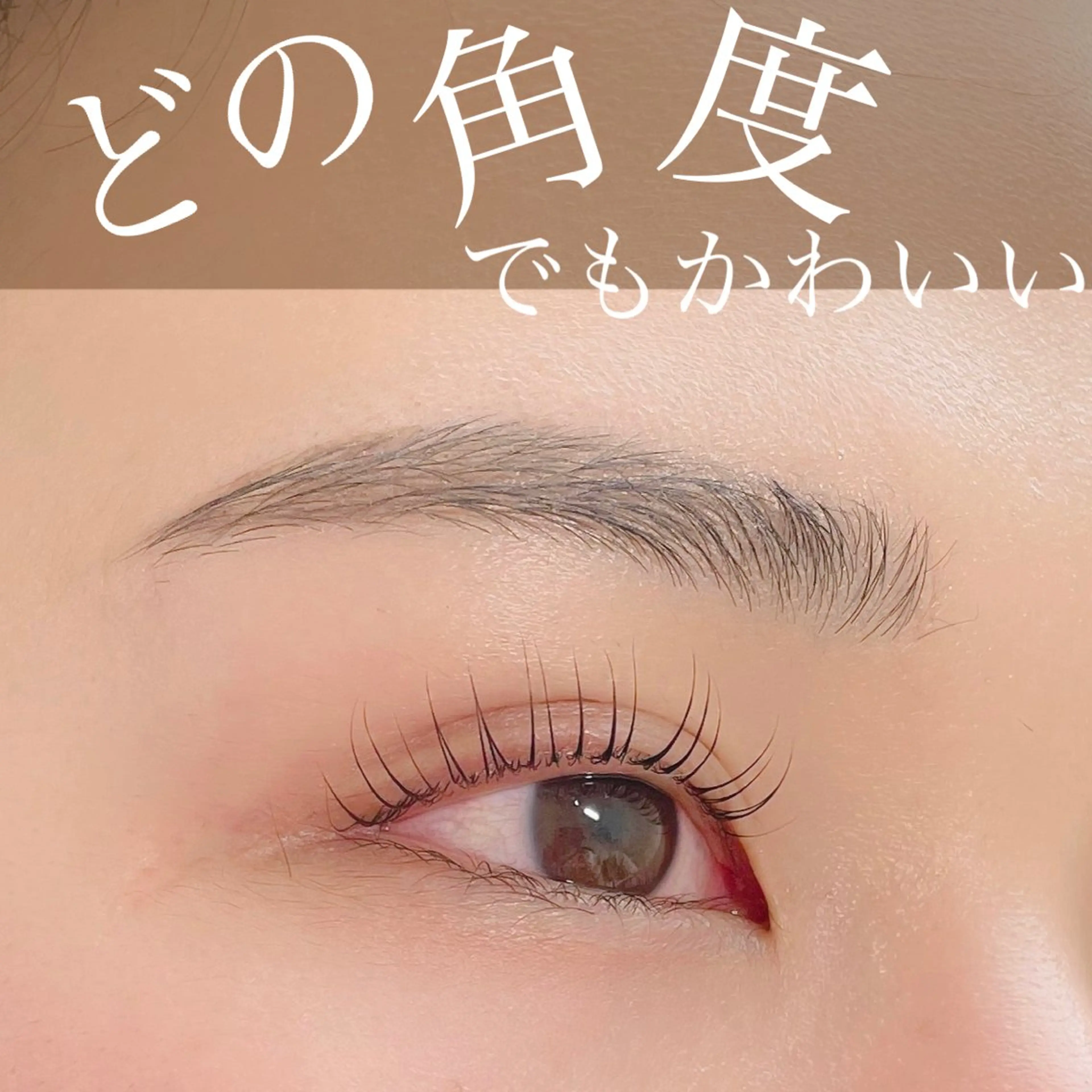 ラッシュリフトカール ・アイブロウsetの写真