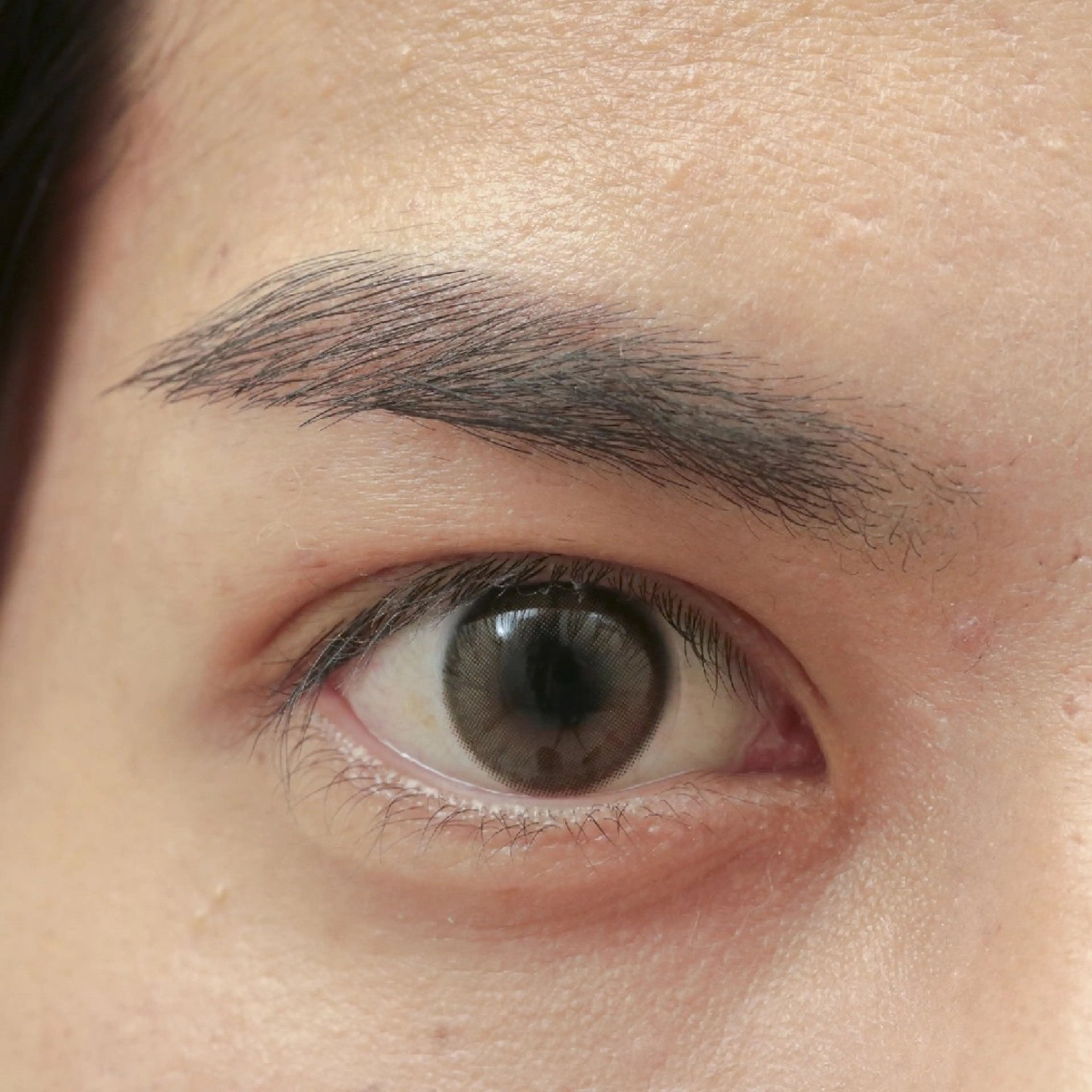 アイブロウ メンズアイブロウ Lento .の眉毛・アイブロウイメージ