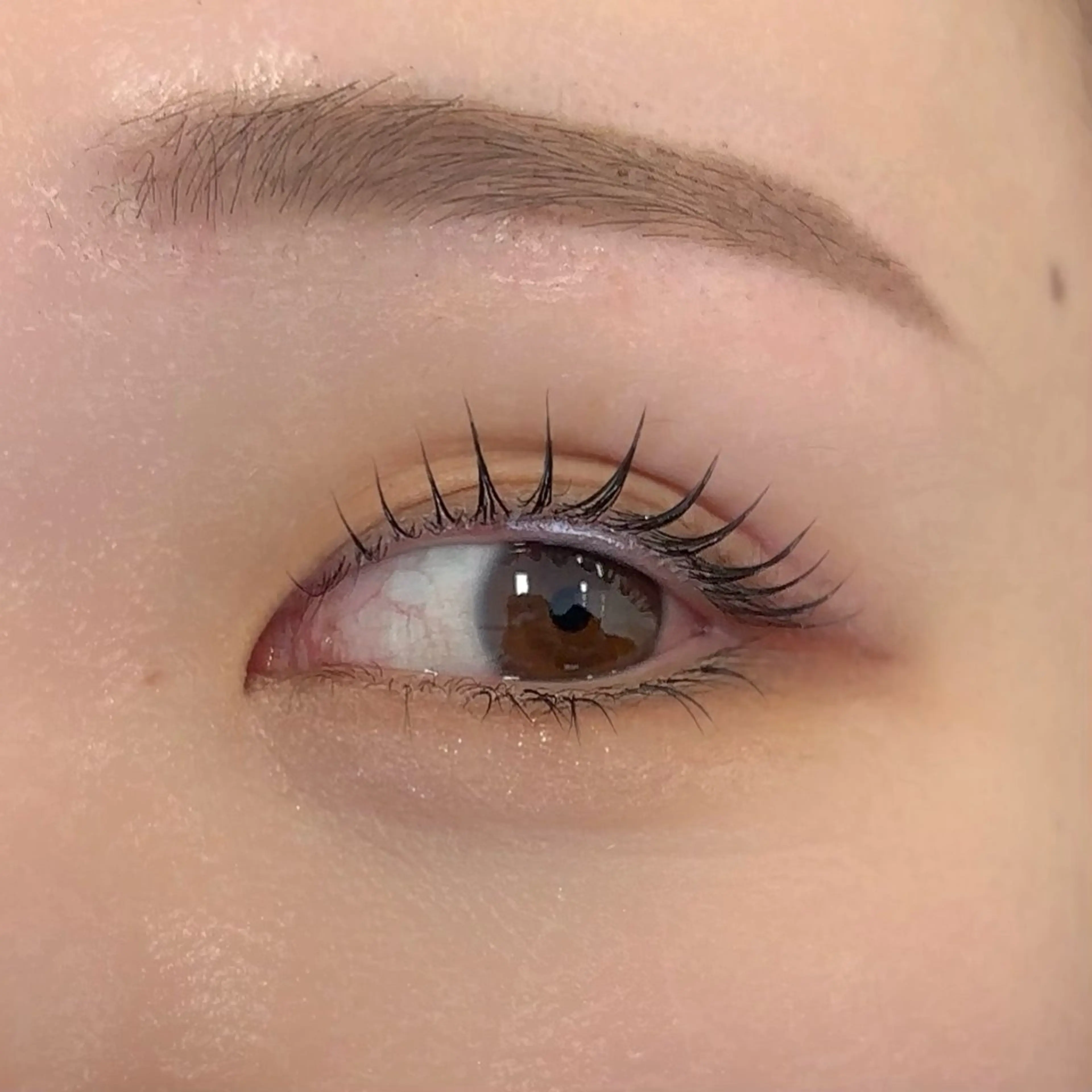 マツエク・マツパ Daisy Lash たかとり みうのマツエク・マツパデザイン