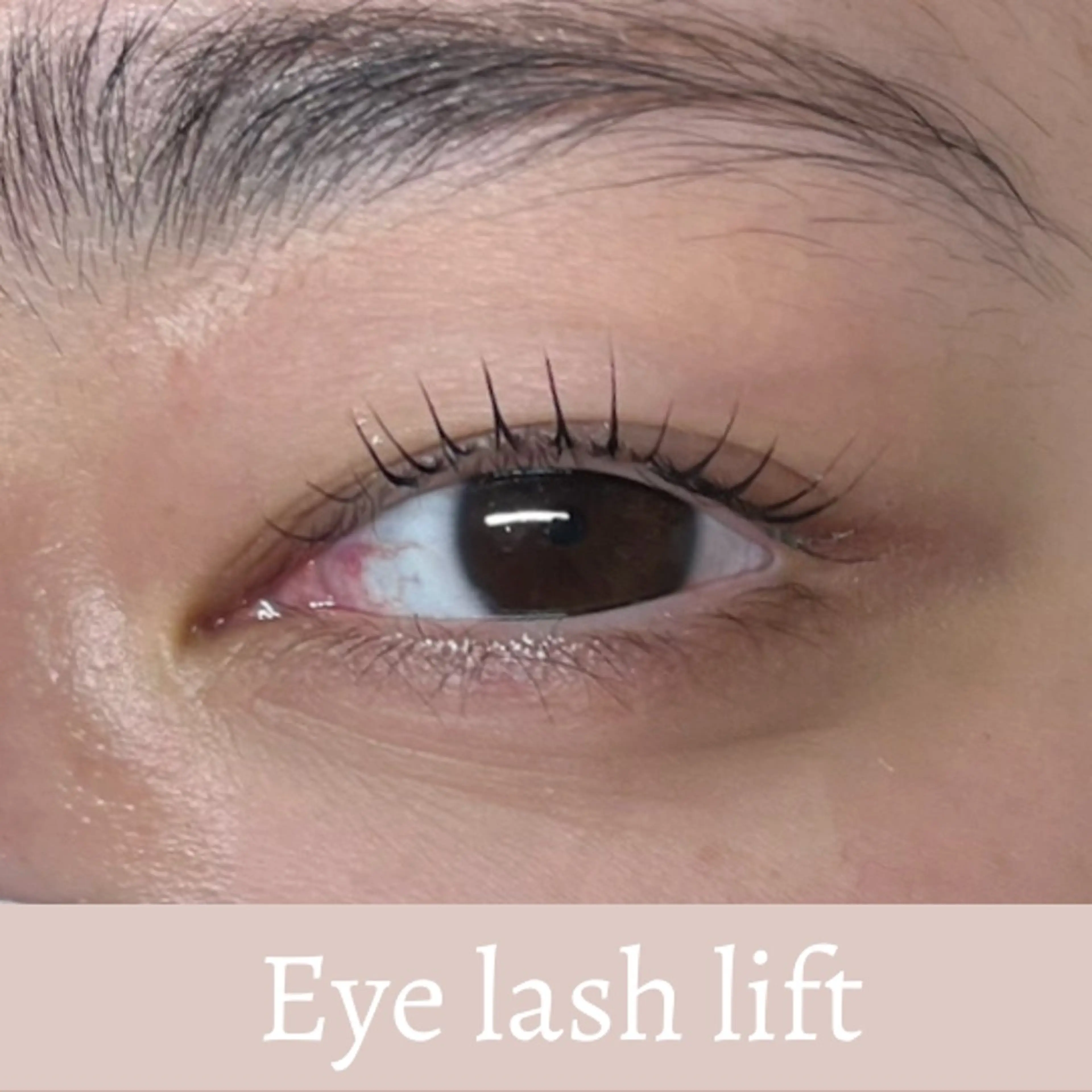 マツエク・マツパ MONDO AYUの眉毛・アイブロウイメージ