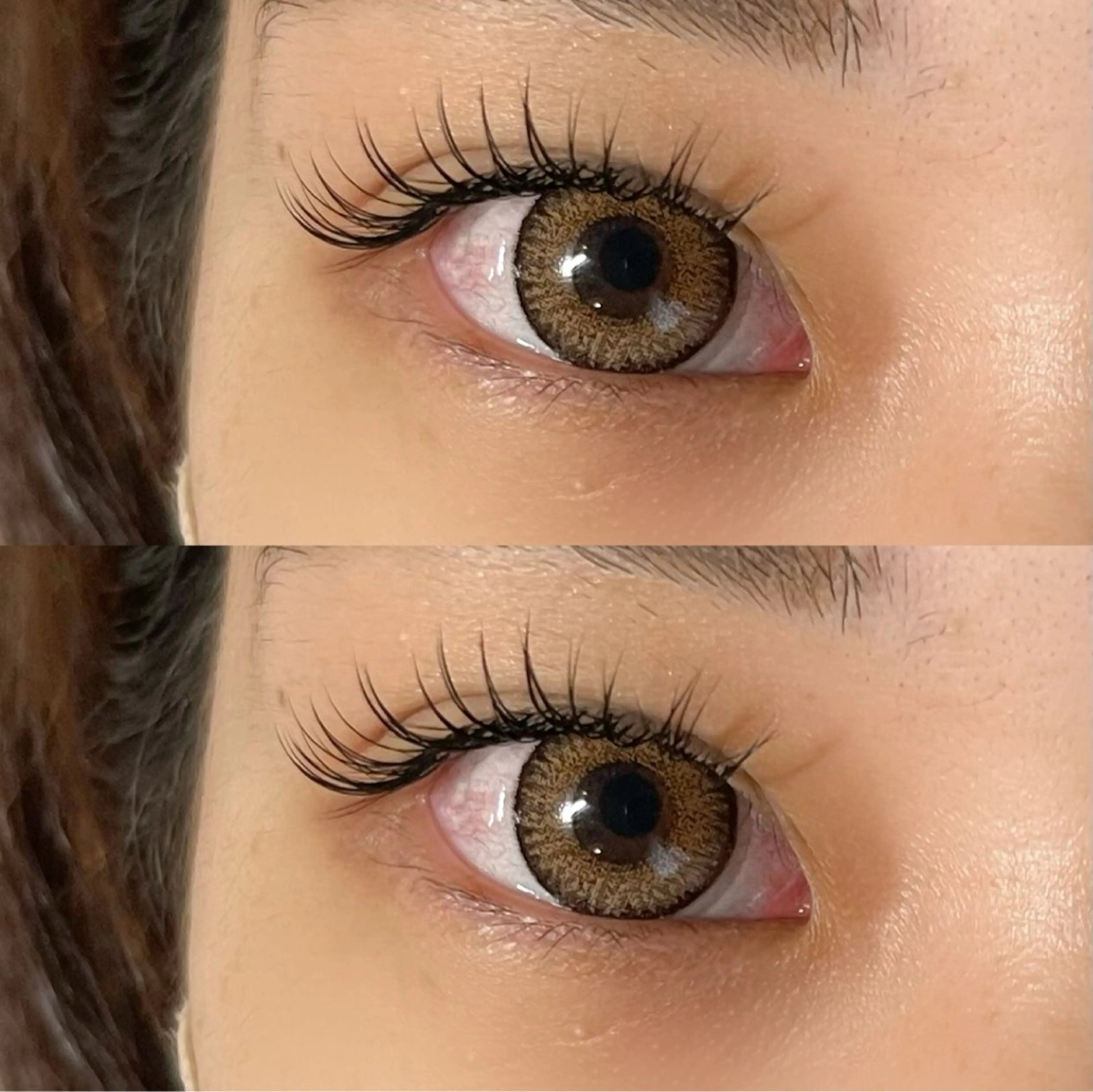 セーブル　100本の写真