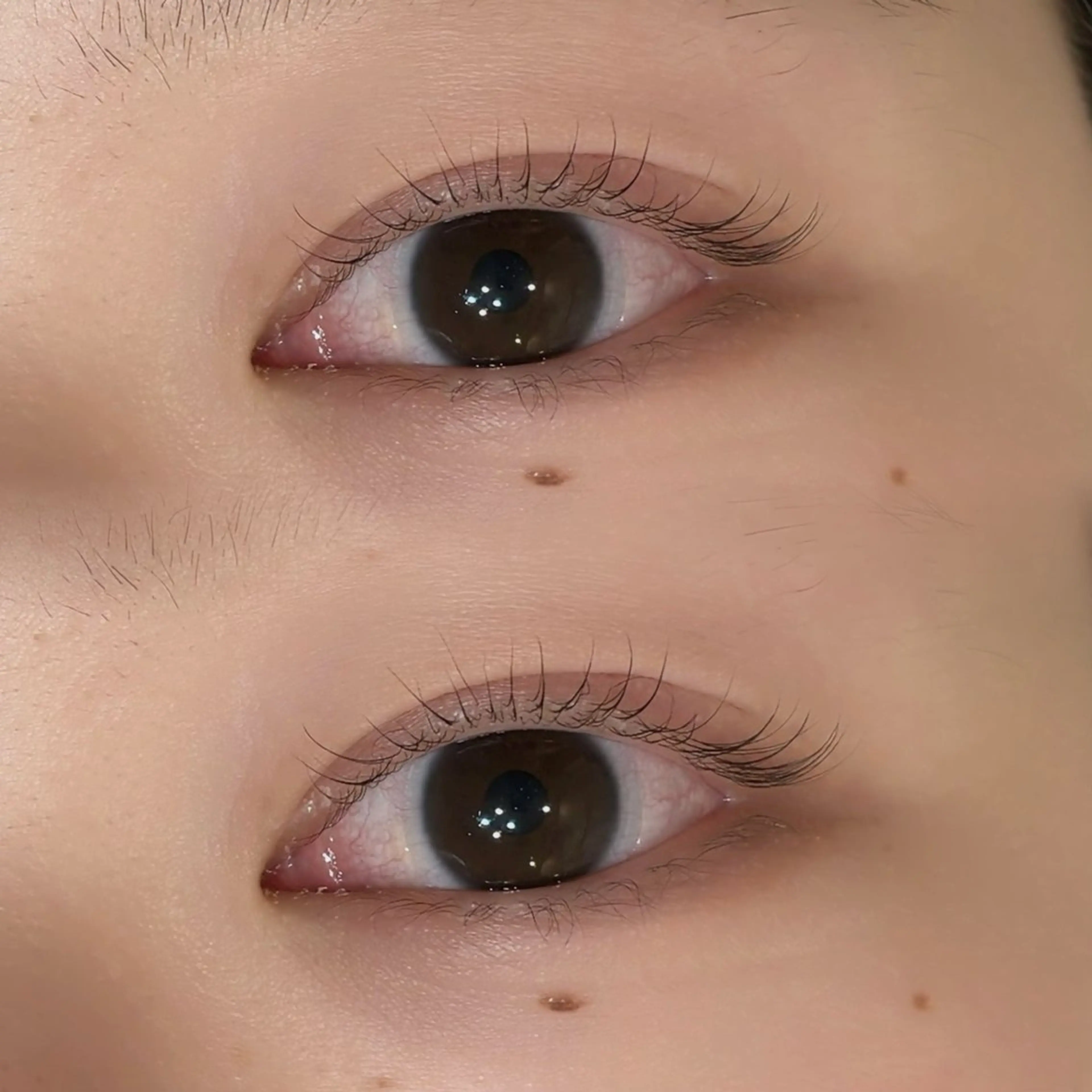 マツエク・マツパ 22+2 V1Let,s Eyebrow&Eye所属・v1Let,s cocoroのマツエク・マツパデザイン