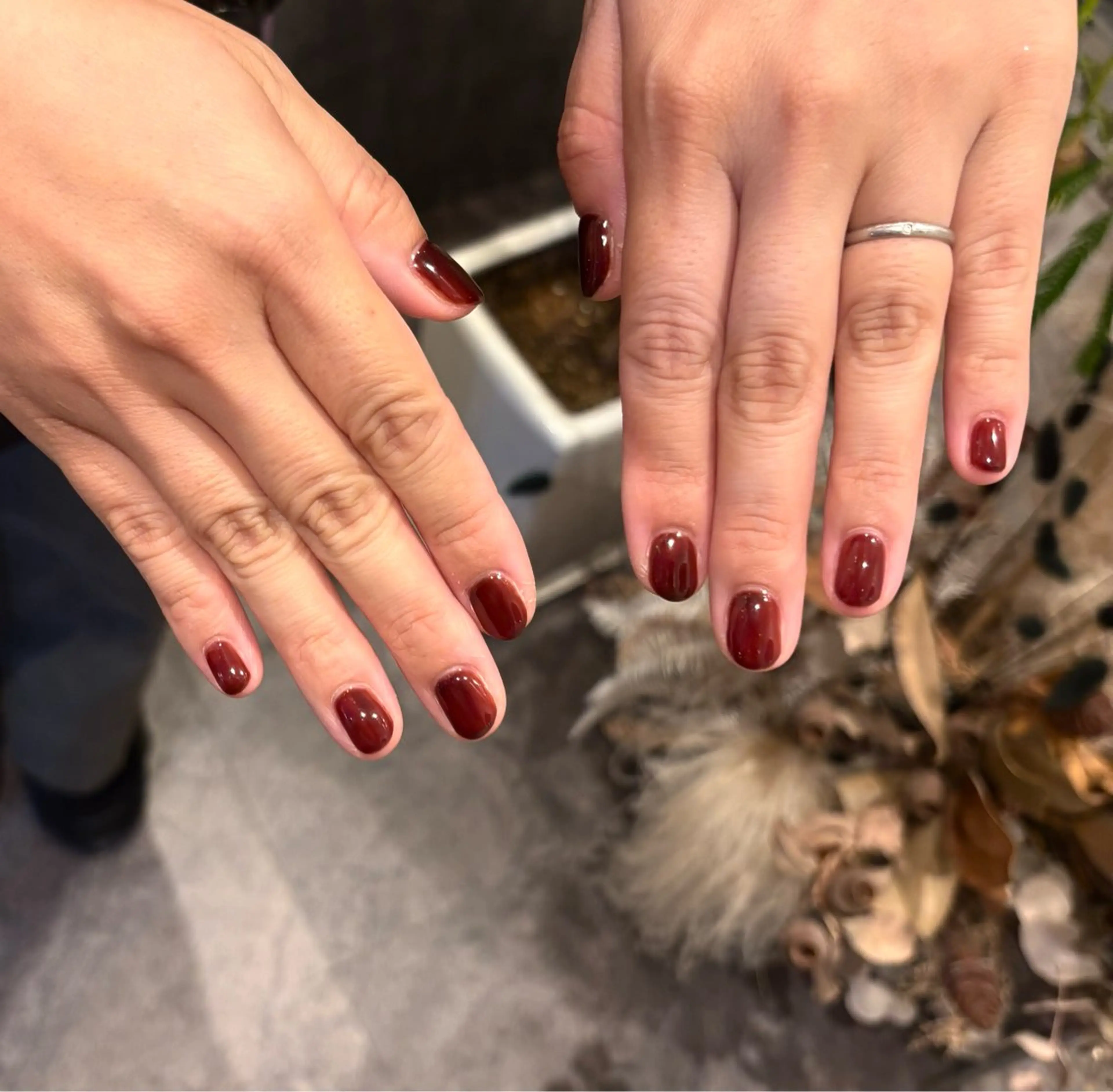 ネイル ブラウン 2% by Sensi Studio所属・Sensi･:* Naoのネイルデザイン