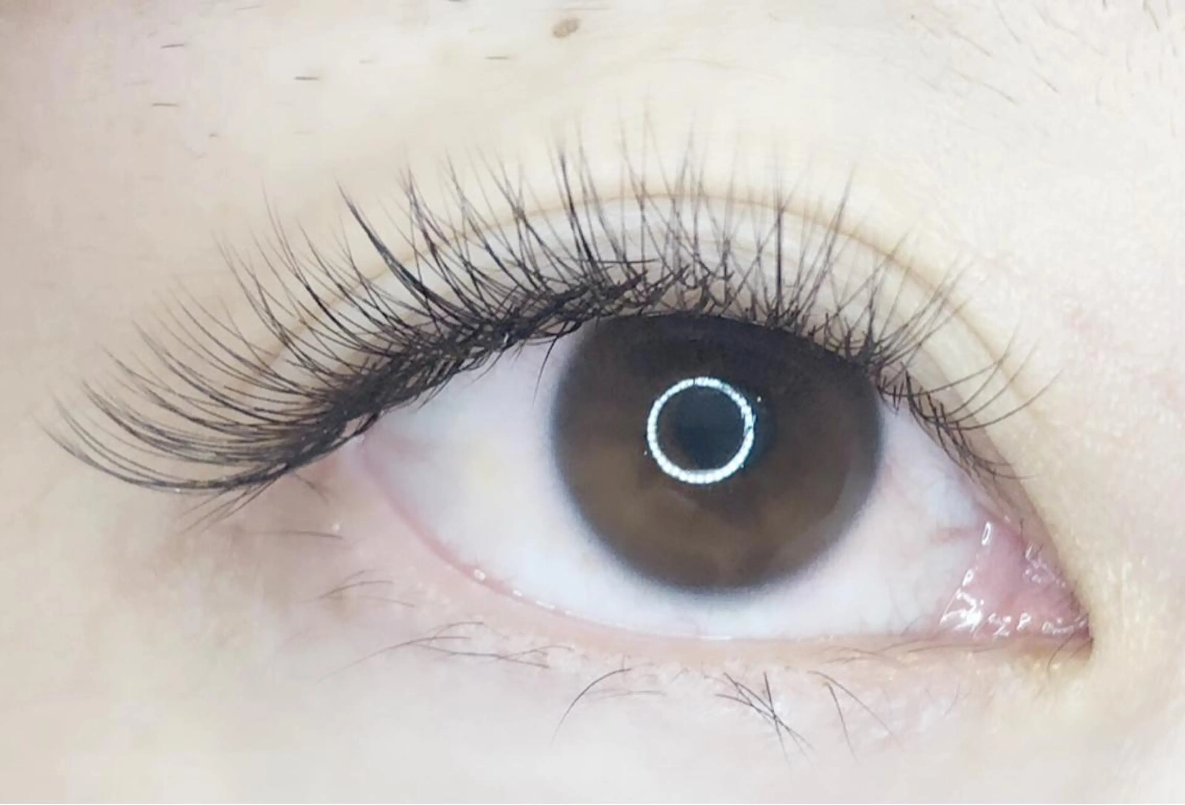 マツエク・マツパ マツエク sii. eyelash/eyebrow所属・sii. eyelashのマツエク・マツパデザイン