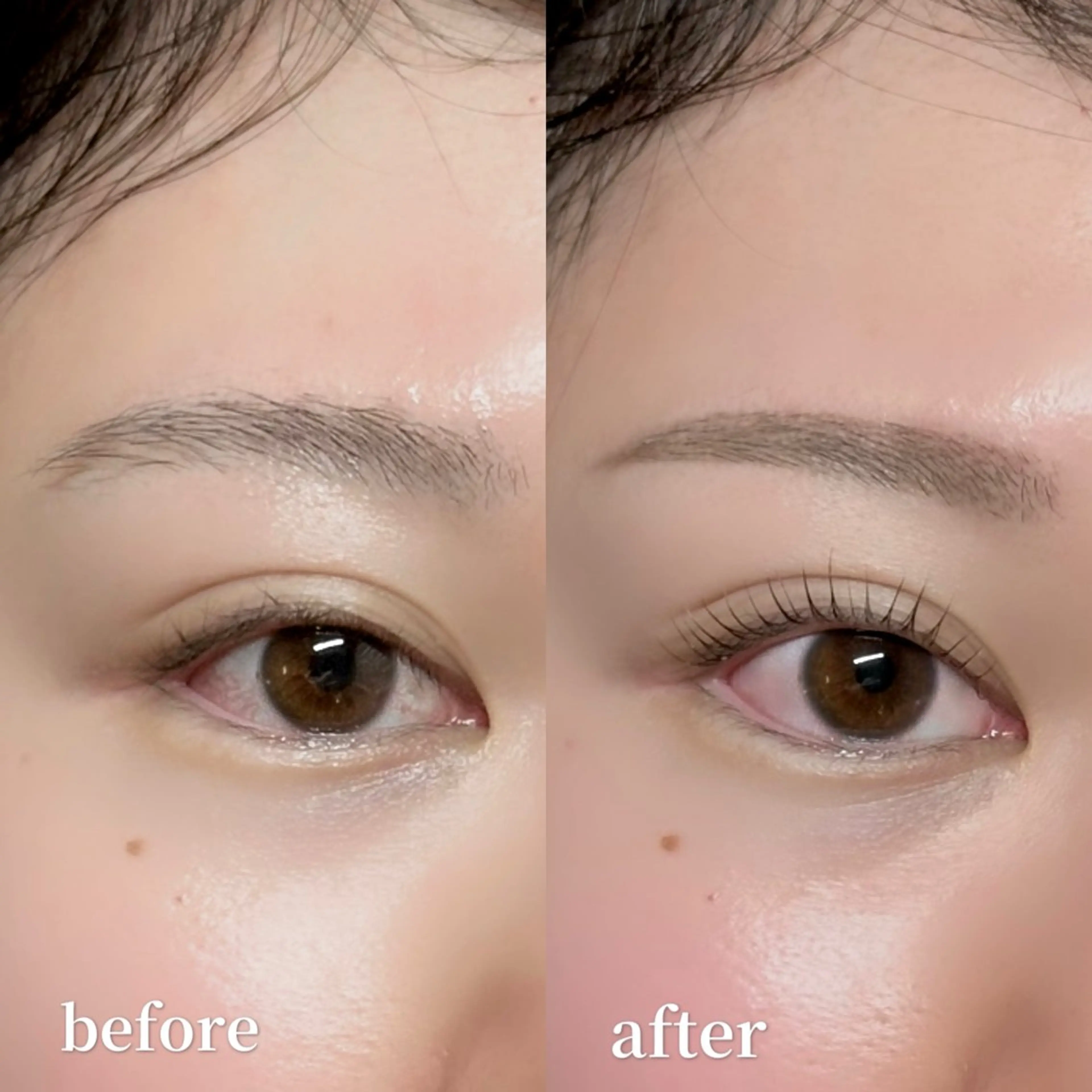 目元美人セット💫まつげパーマ&美眉WAX🫧※眉パーマ無の写真