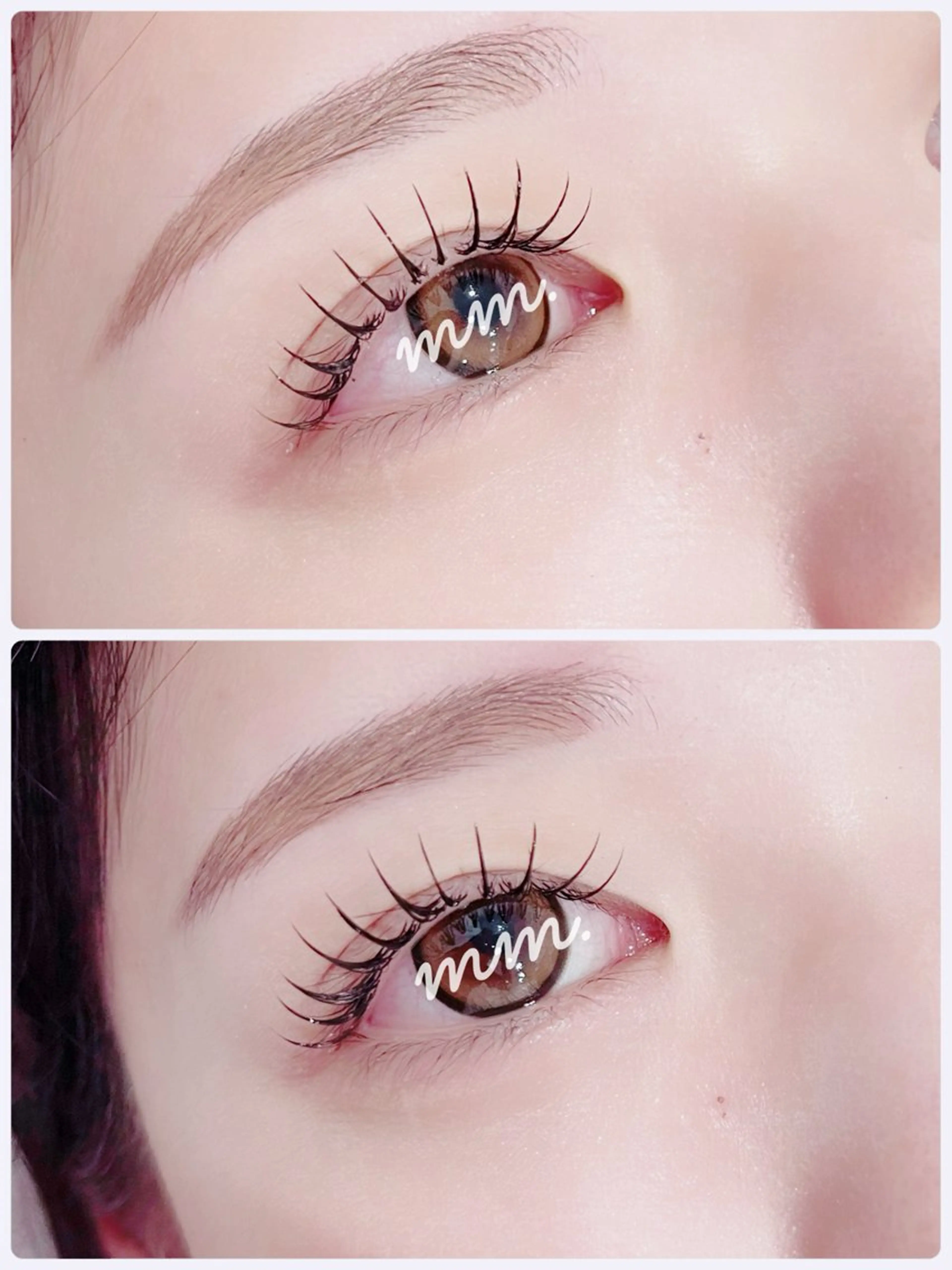 フラットラッシュ100本の写真