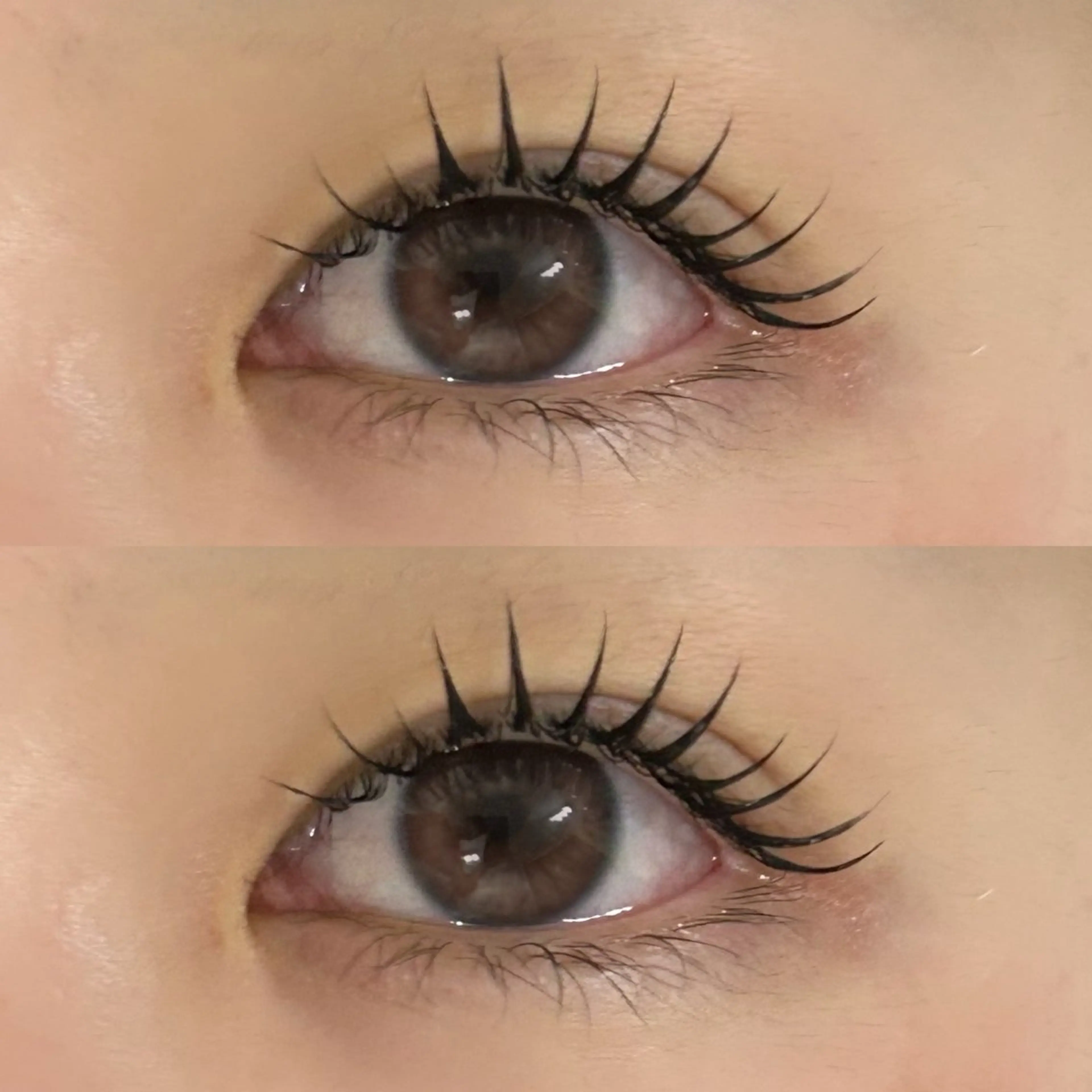 マツエク・マツパ 束感まつ毛 韓国風マツエク 🌸jiem5 sakura🌸のマツエク・マツパデザイン