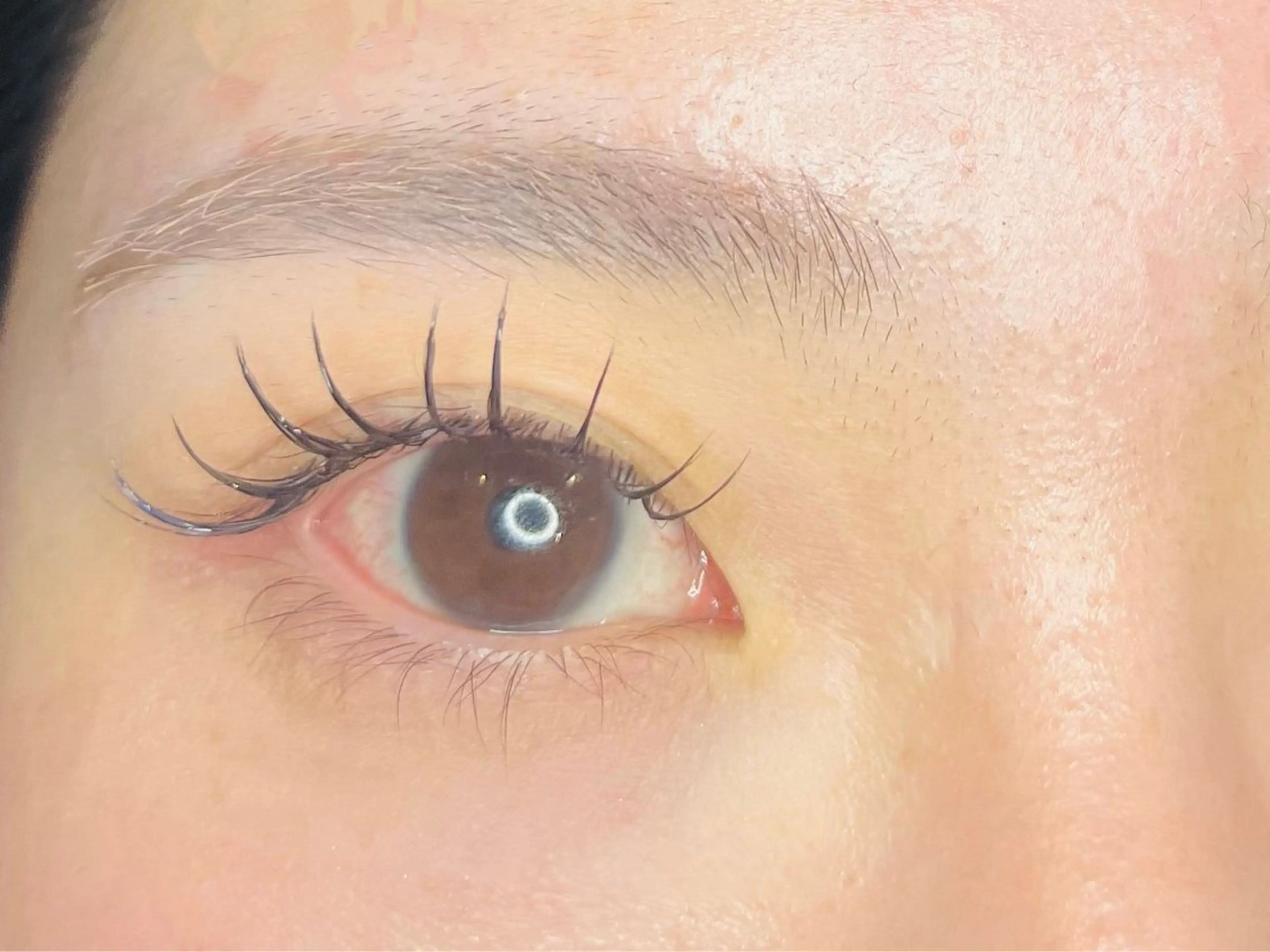 エクステ100本+まつぱの写真