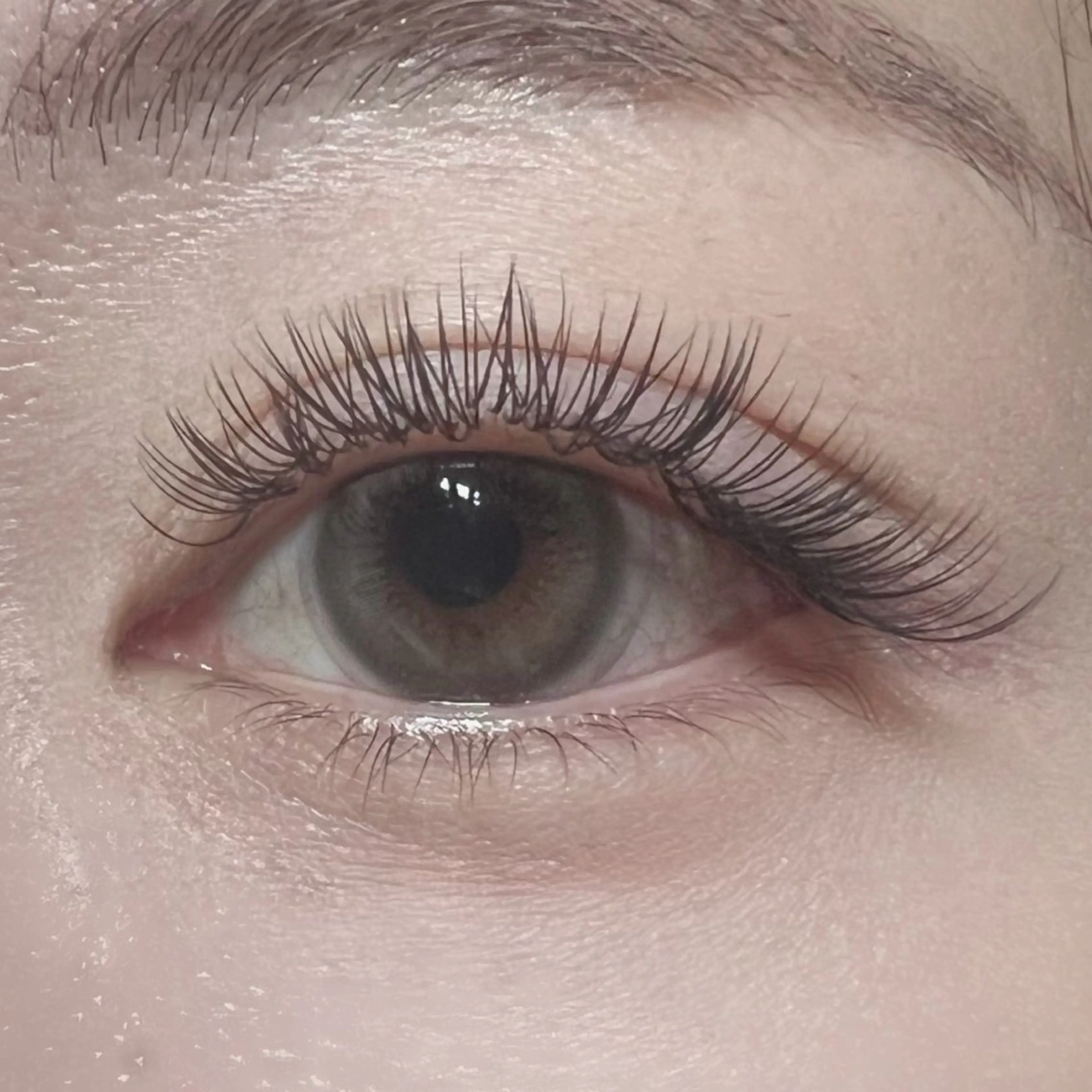 バインドロック or Wフラット✨120束【オフ別途】¥8500の写真