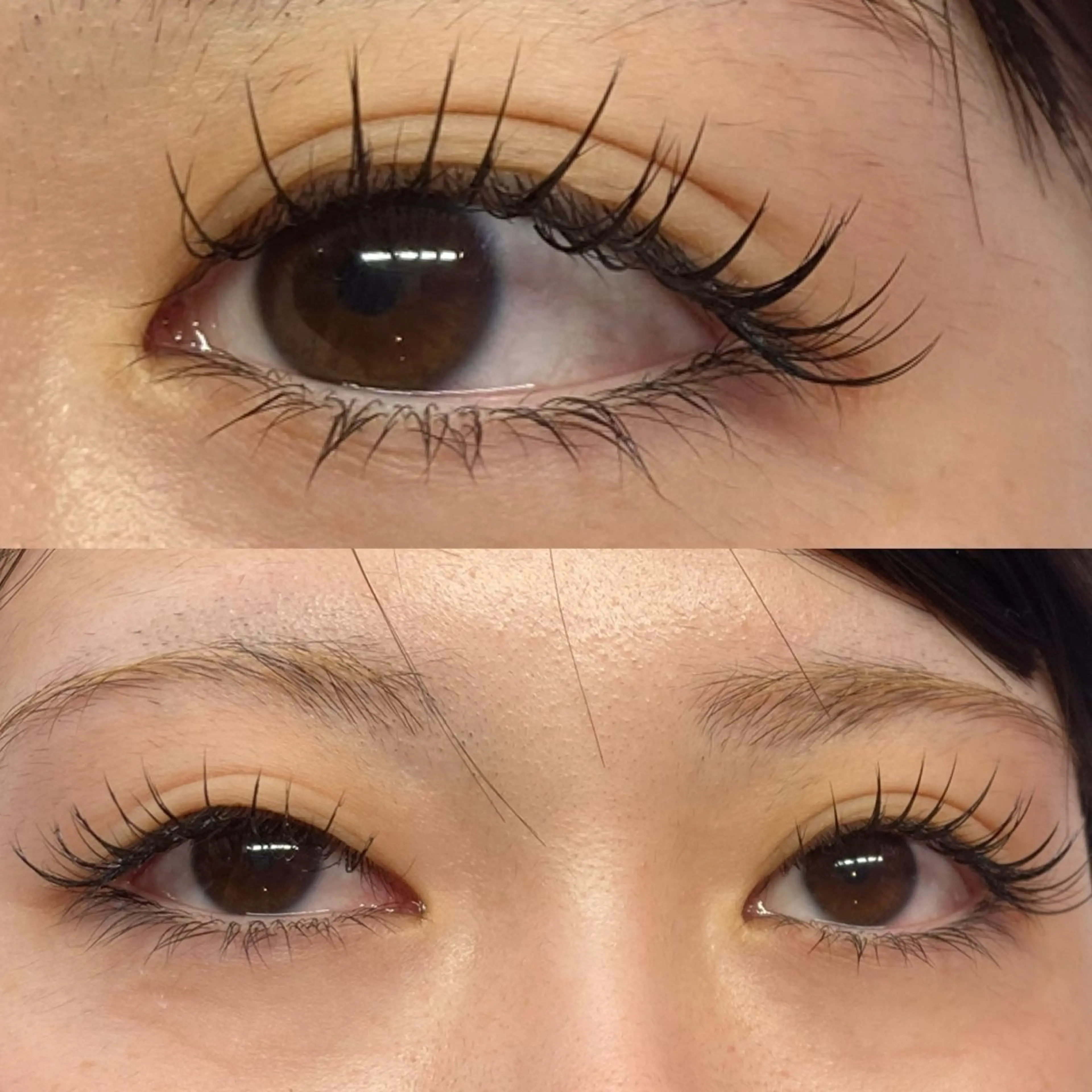 【セーブルエクステ80本】Jr.アイリストキャンペーン🦋カラーエクステ＋¥1000/長さ・カール・デザインお選び🉑の写真