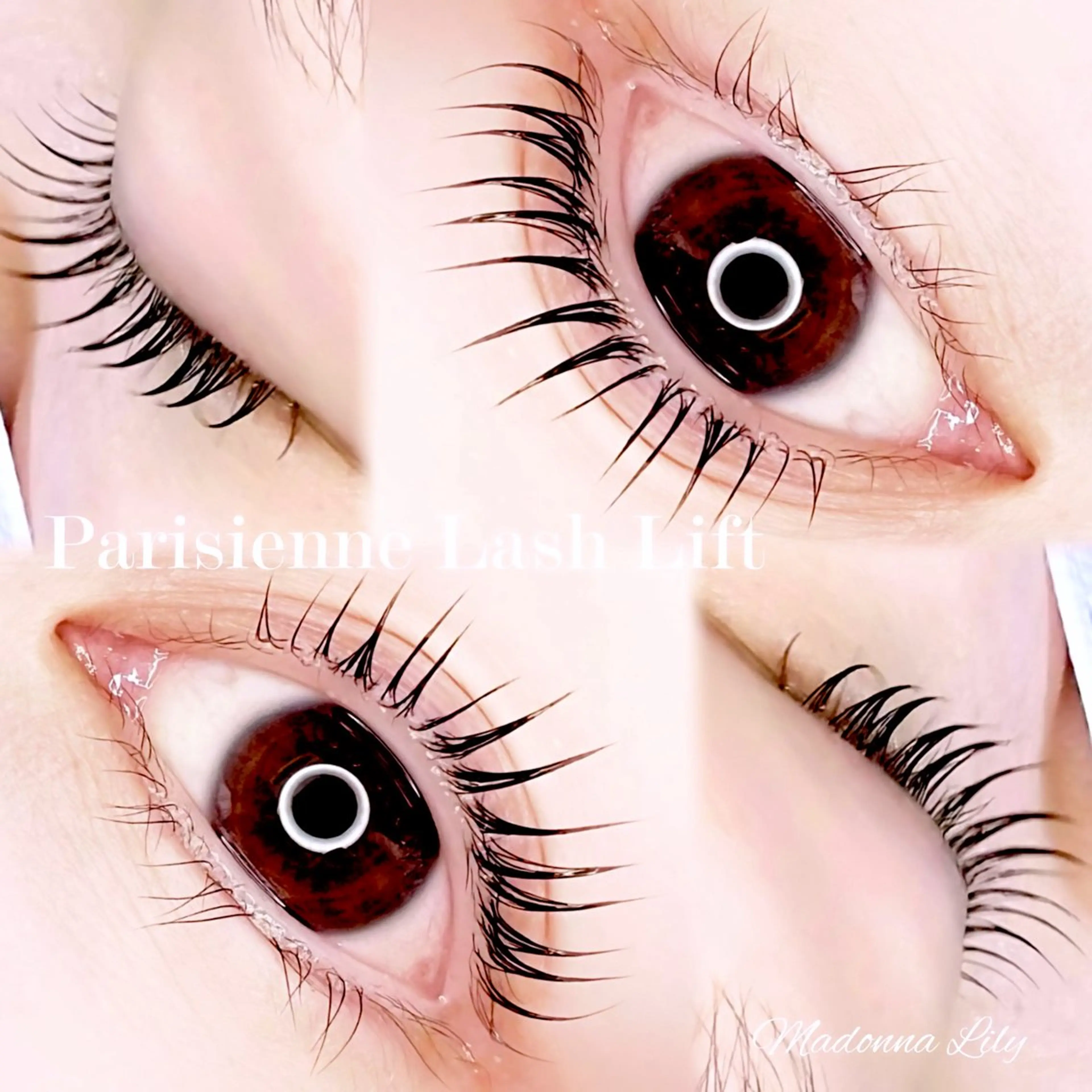 マツエク・マツパ Madonna Lilyのマツエク・マツパデザイン