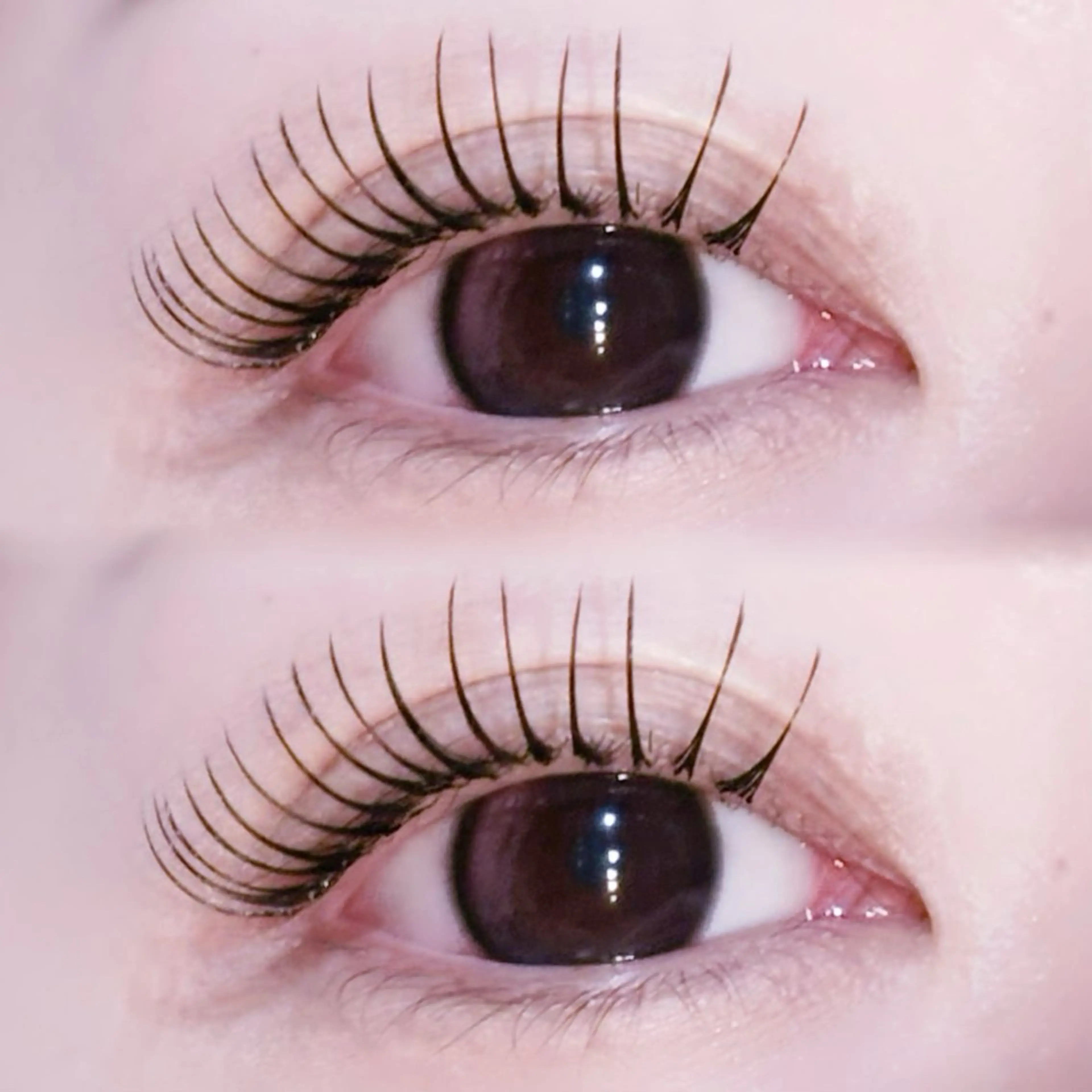 マツエク・マツパ EYELA🤍 蓜島のマツエク・マツパデザイン