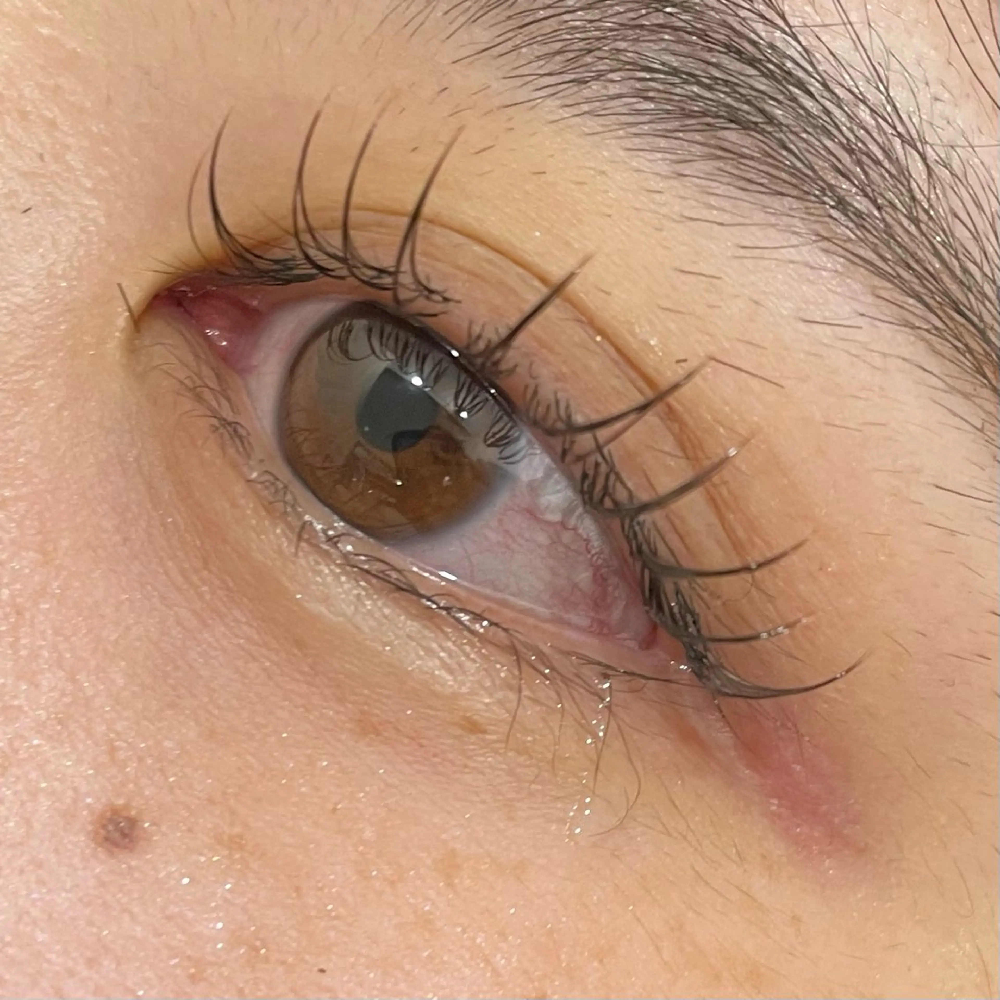 《リピーター様限定》  付け足し40本​〜​60本LED、Wラッシュに変更可能＋1000円の写真