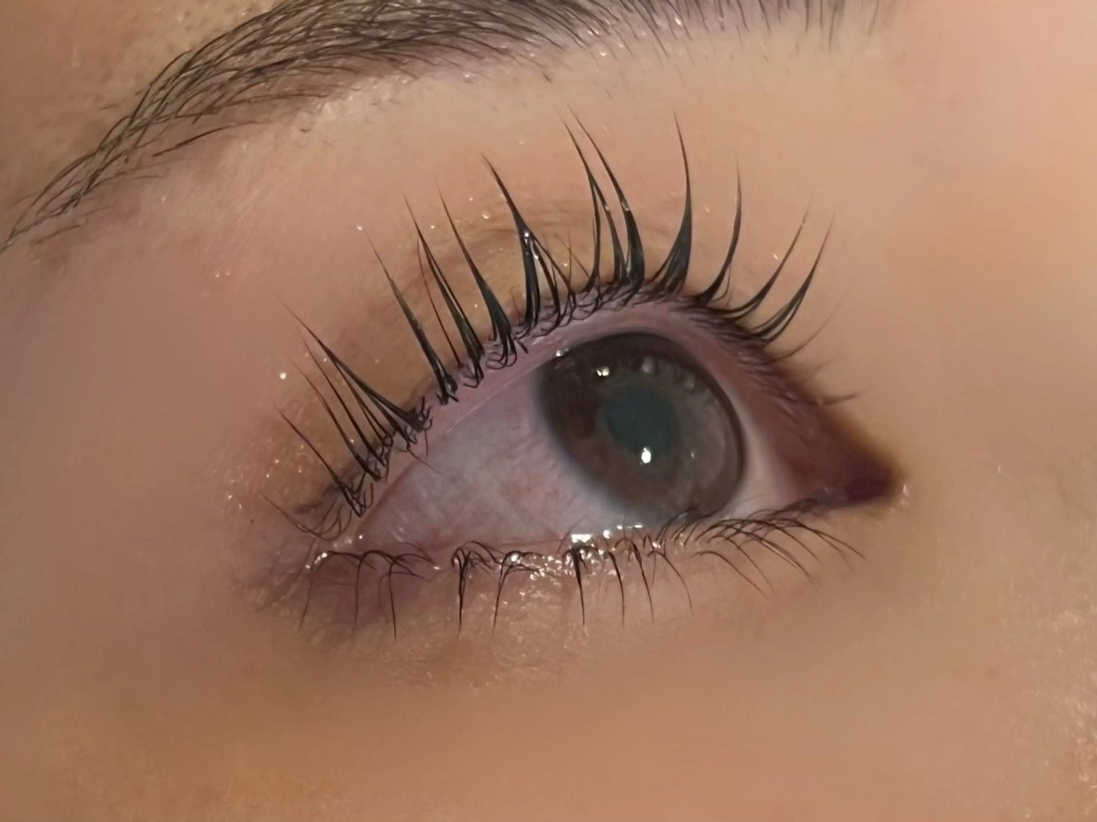 大人気メニュー✨まつ毛パーマ＋眉カット9900→4000の写真