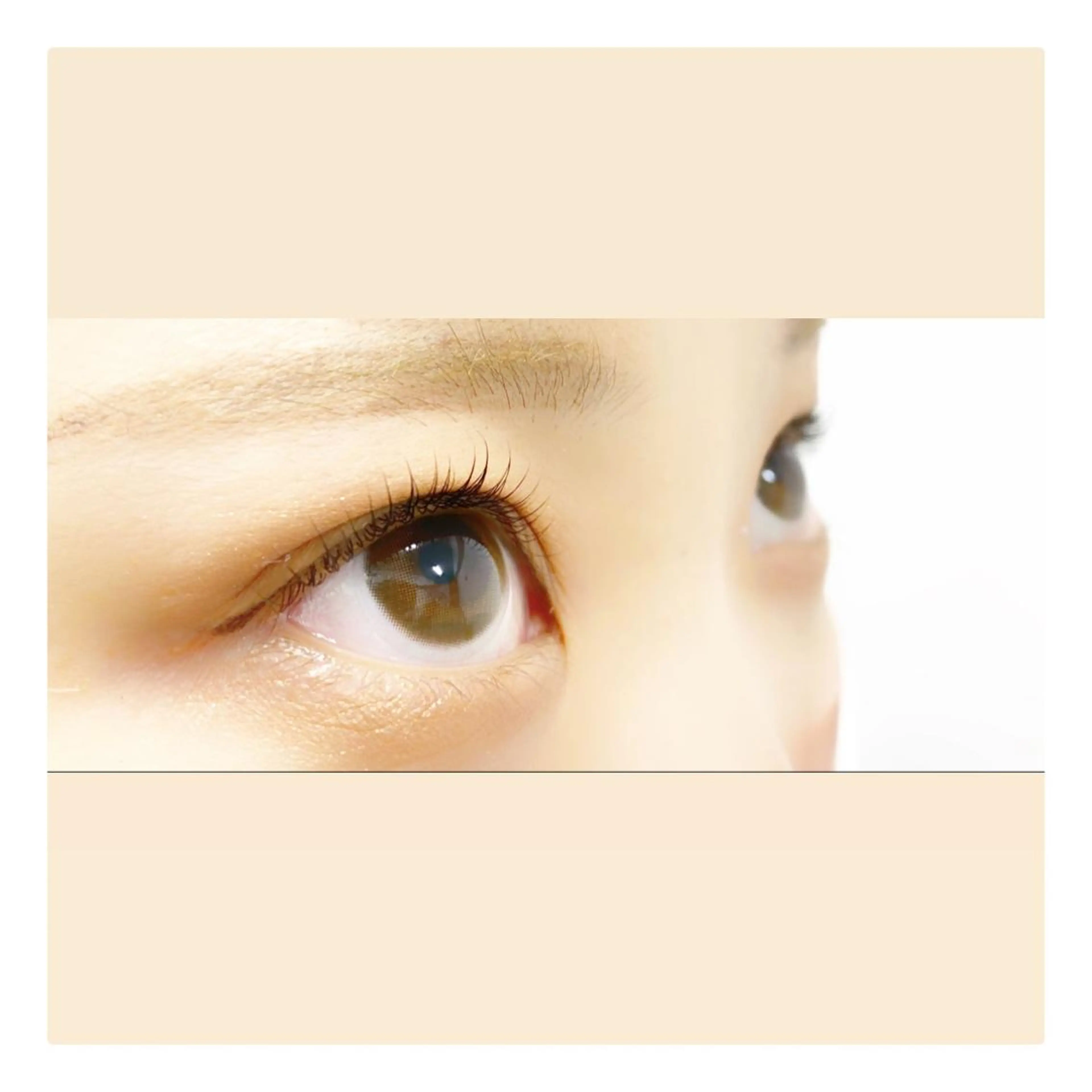 マツエク・マツパ マツパ MAHALO 𓆉の眉毛・アイブロウイメージ