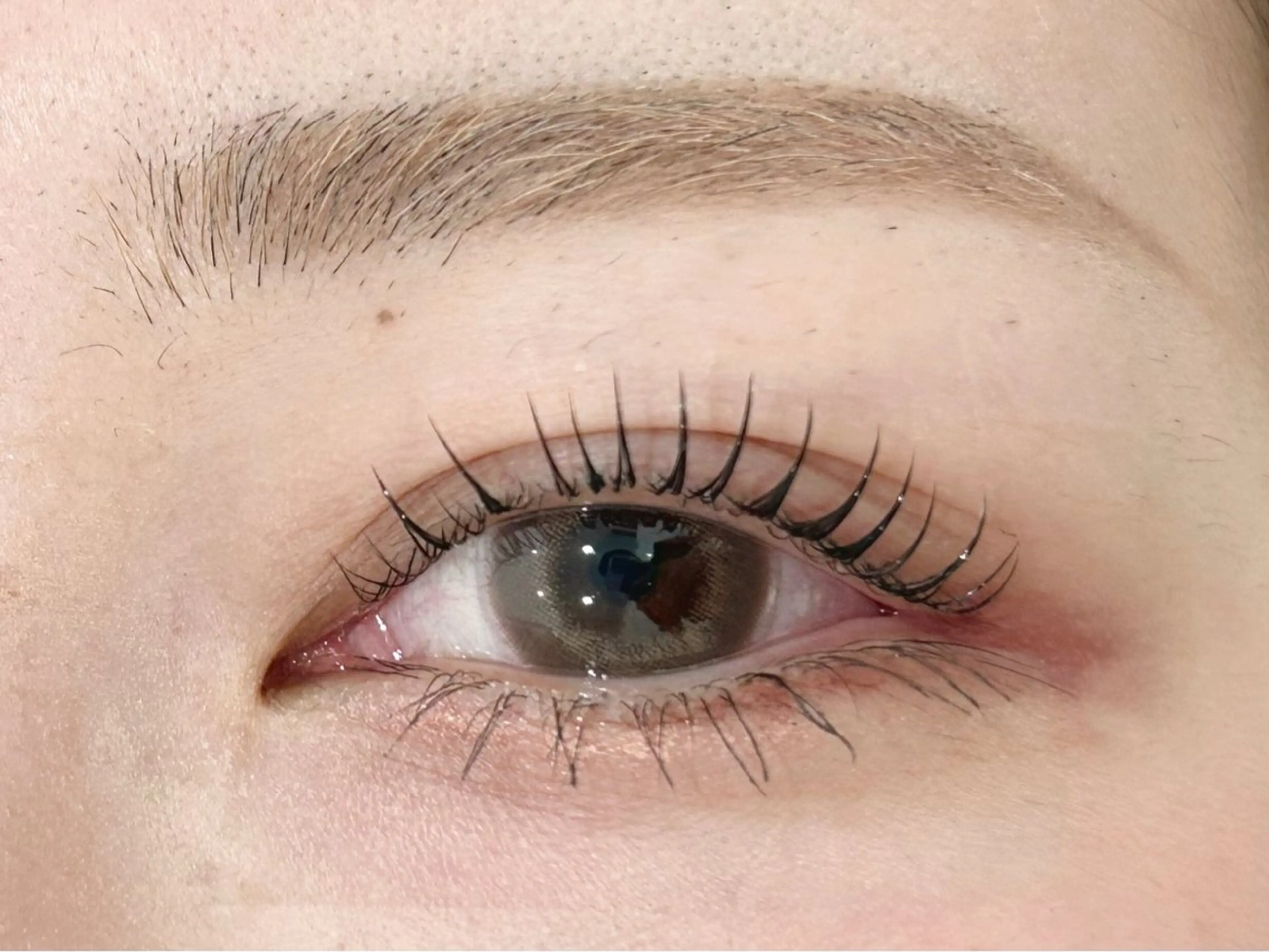 マツエク・マツパ eyelash&eyebrow Lupinus【ルピナス】所属・Lupinus 南草津店のマツエク・マツパデザイン