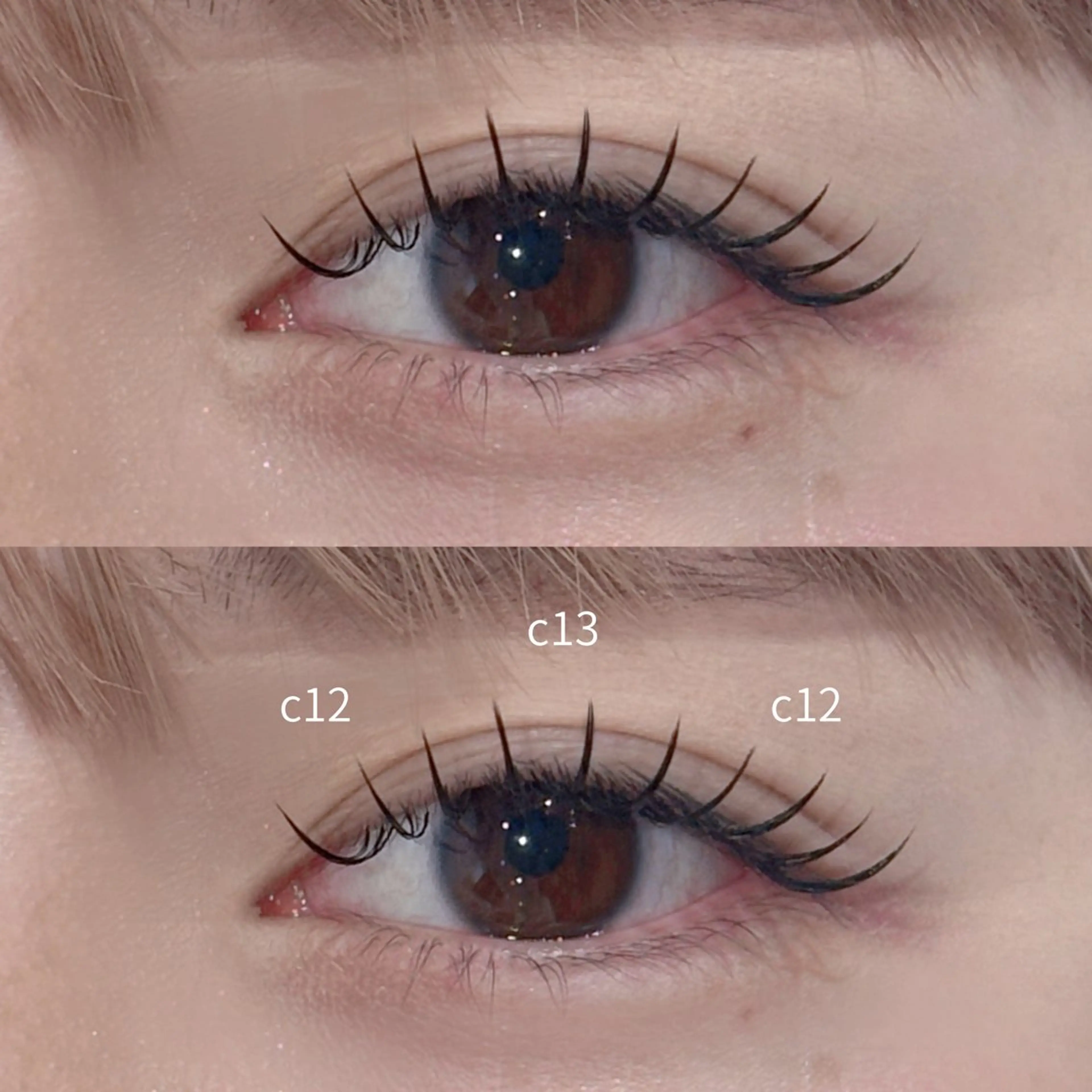 ✨バインドロック80束✨(オフ+550円)の写真