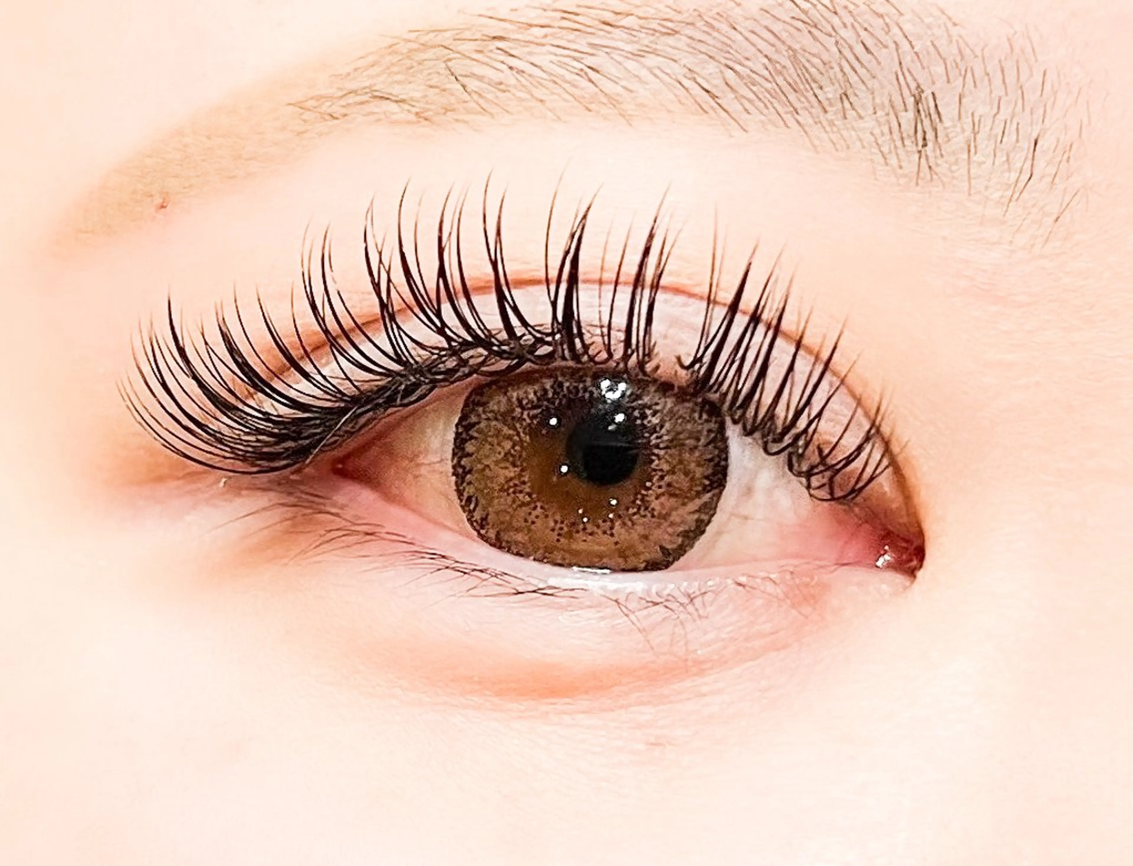 ご新規様限定🦋バインドロック100束¥8,800→¥6,160の写真