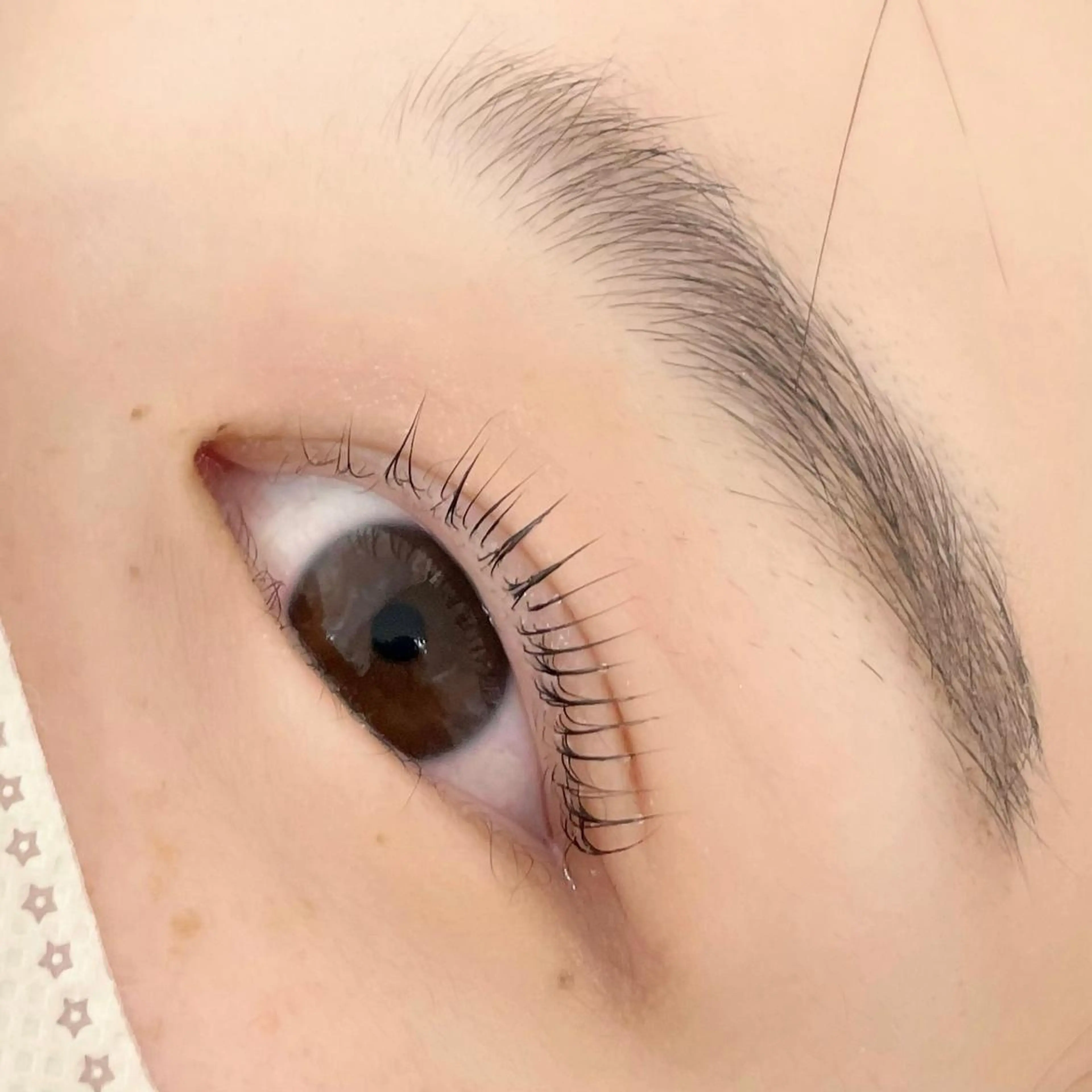 マツエク・マツパ パリジェンヌラッシュリフト 🫧bianca ARAI🫧のマツエク・マツパデザイン