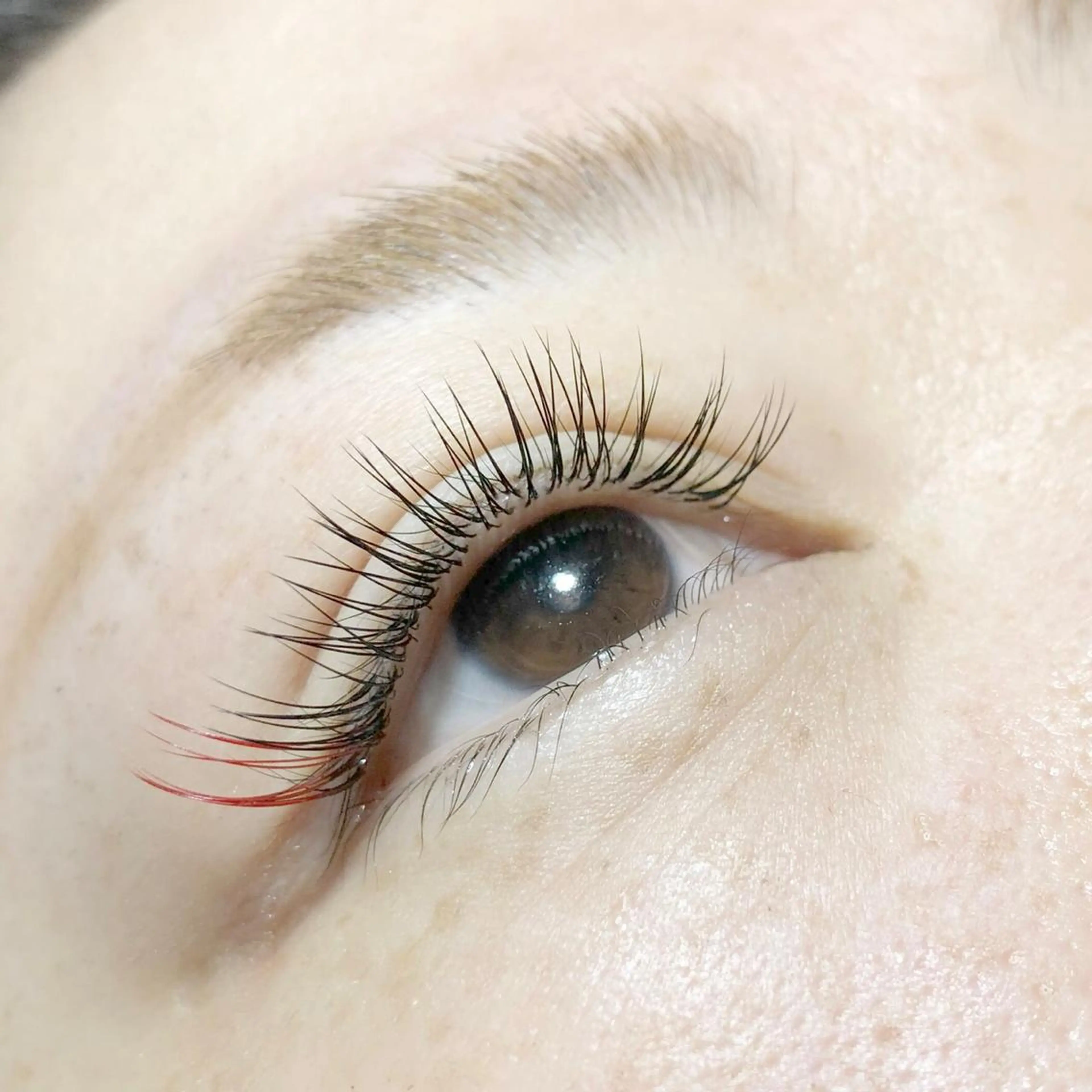 マツエク・マツパ マツエク Q-LEA  まつエク まつ毛パーマ 四条大宮所属・Q-LEA 四条大宮 クリアのマツエク・マツパデザイン