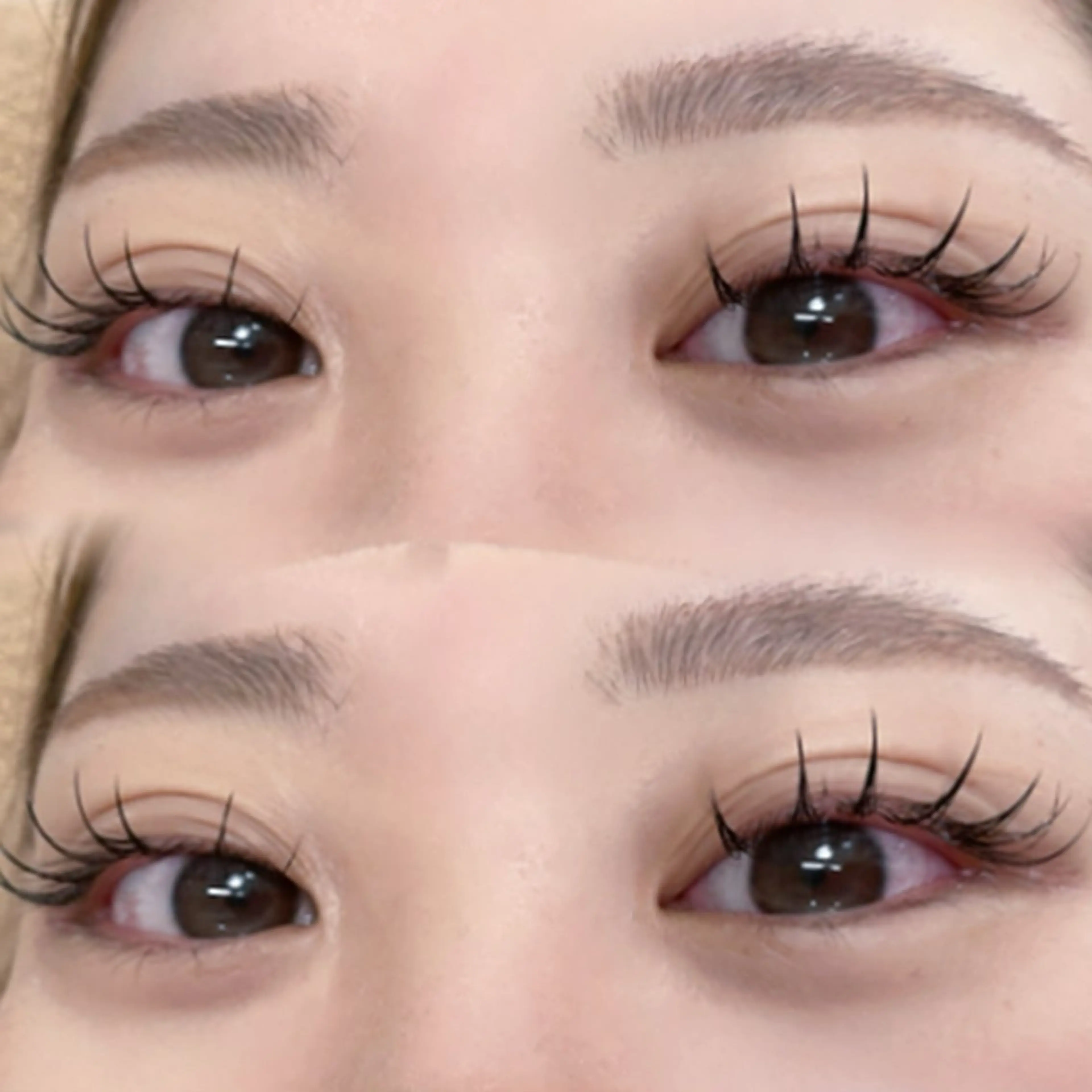 フラットラッシュ120本(オフ込)の写真