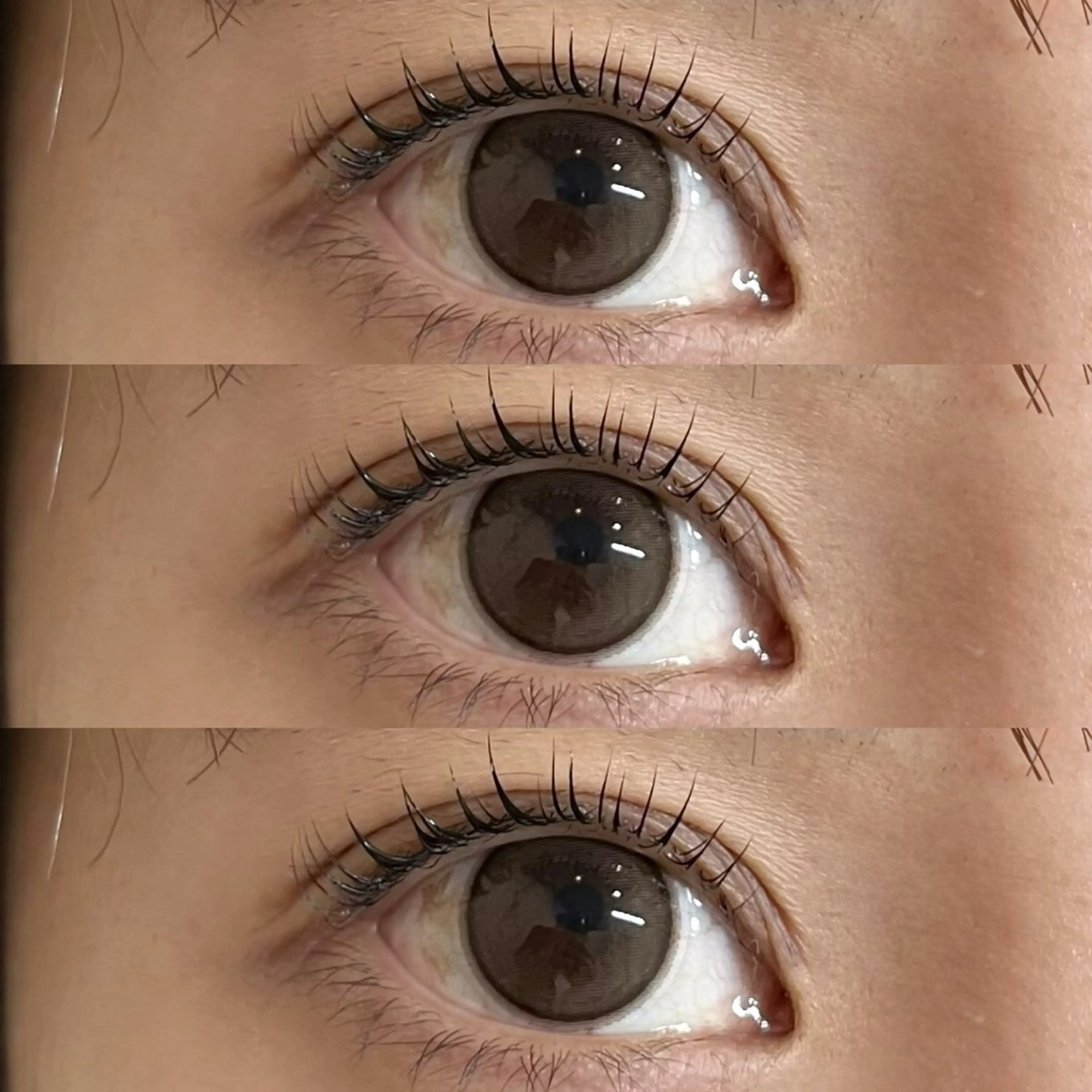 🍎まつ毛パーマ🍎の写真