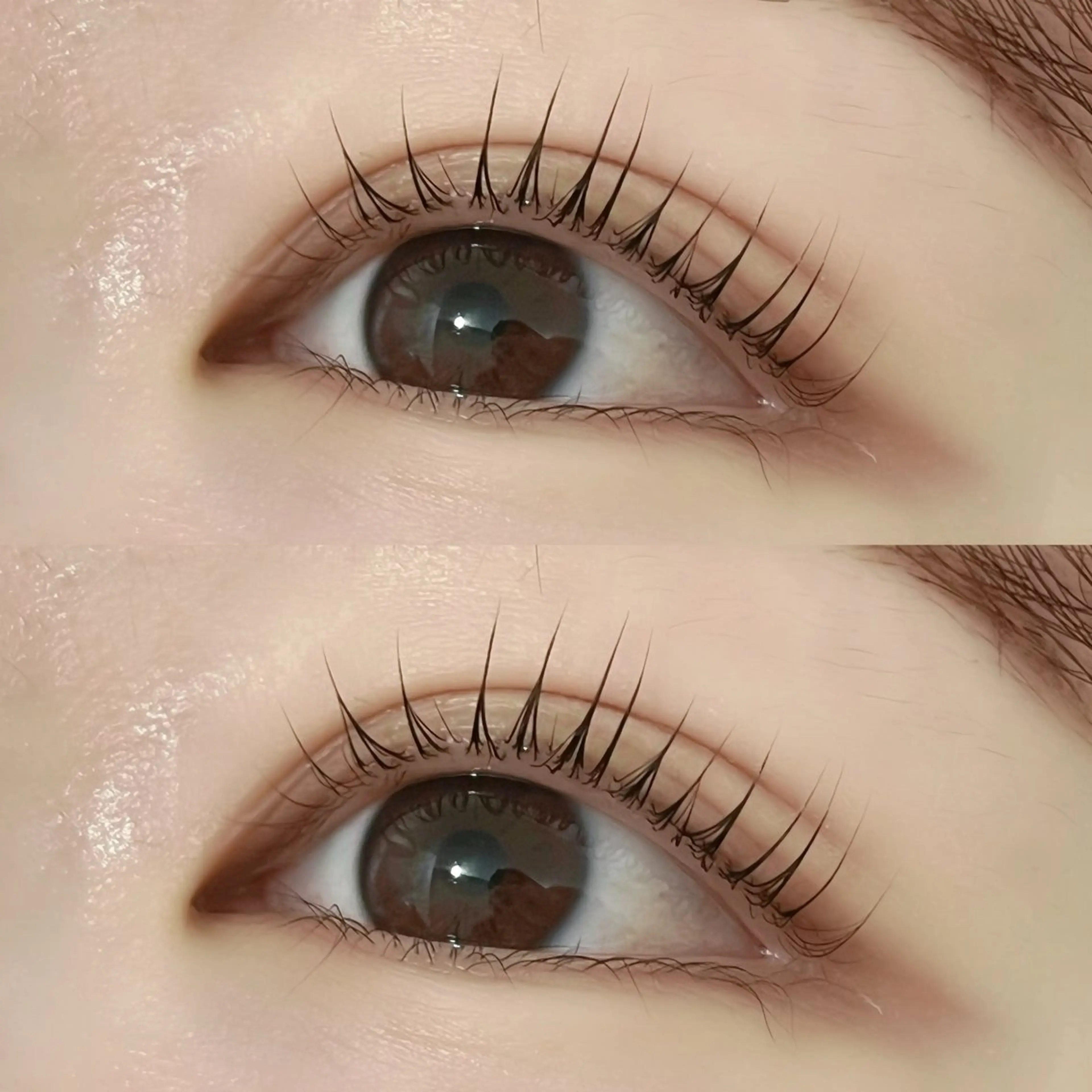 🫧 コーティング仕上げ パリジェンヌラッシュリフト 🫧の写真