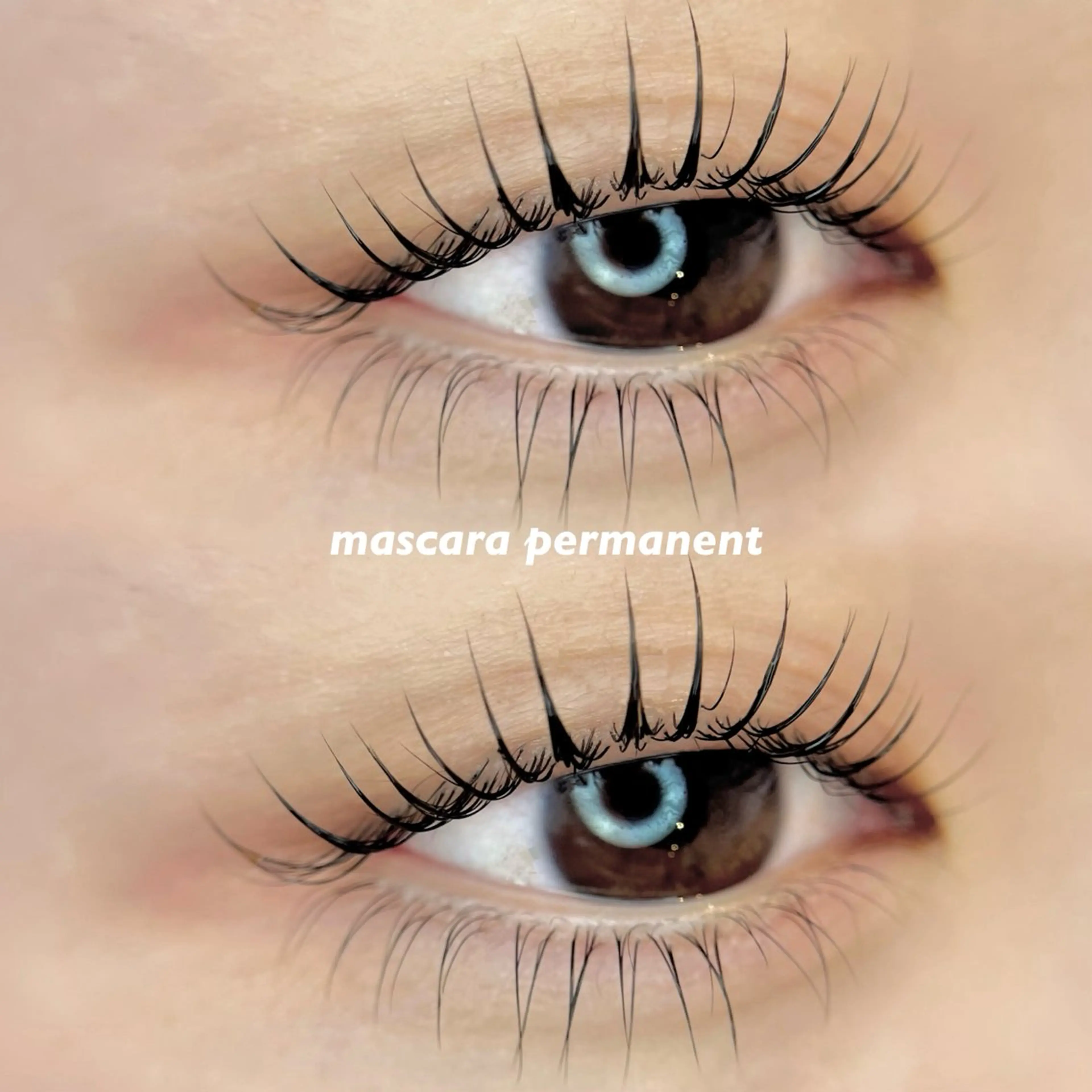 ▫️ 【 新規限定 】 韓国発🇰🇷マスカラパーマ（ブラックティント付）✨️すっぴん映えeye🌙🌿‬の写真