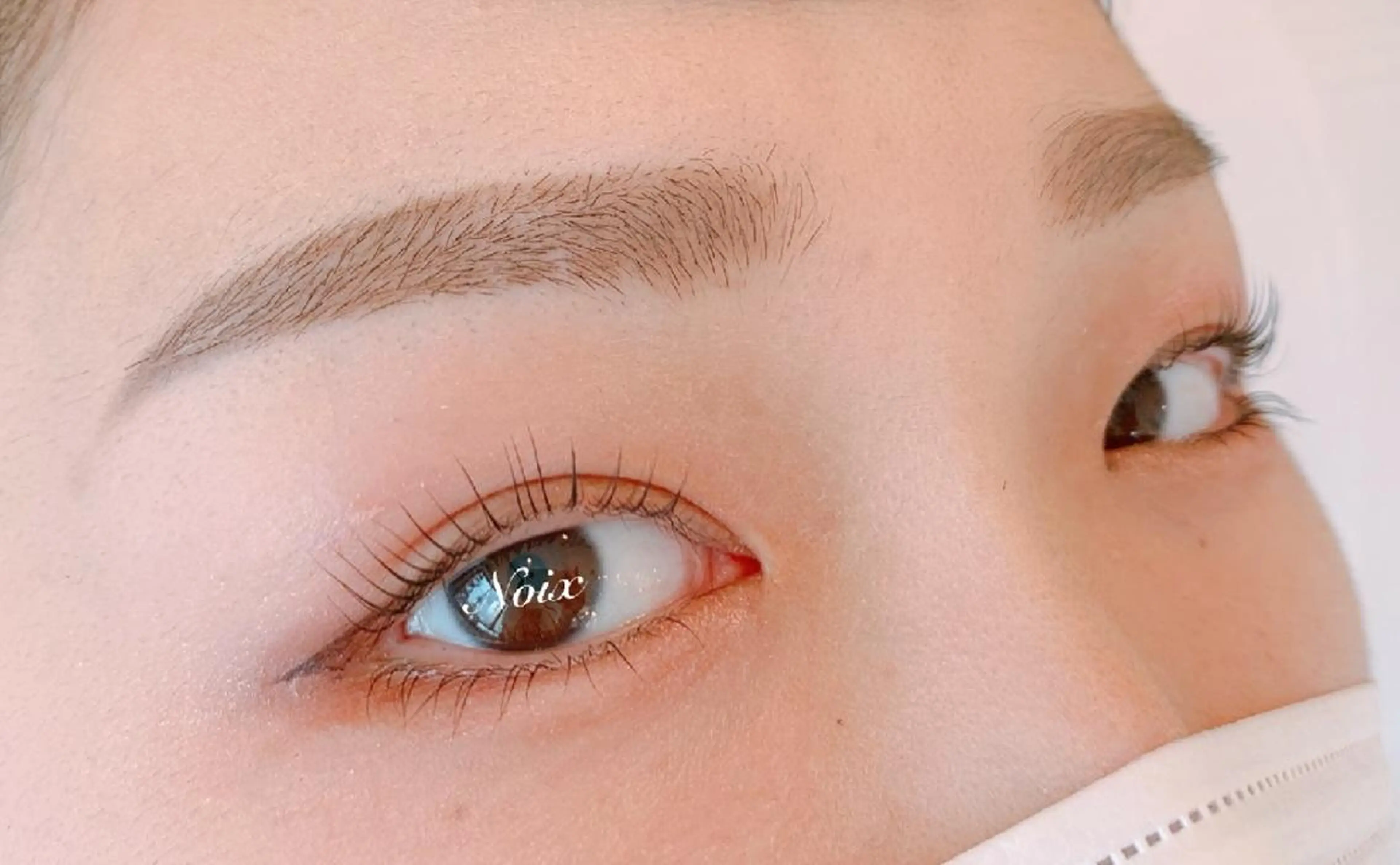 🫧Special Coupon🫧💛 美まつげパーマ 💛【ご新規様限定🌟】トリートメント付　【上下】の写真