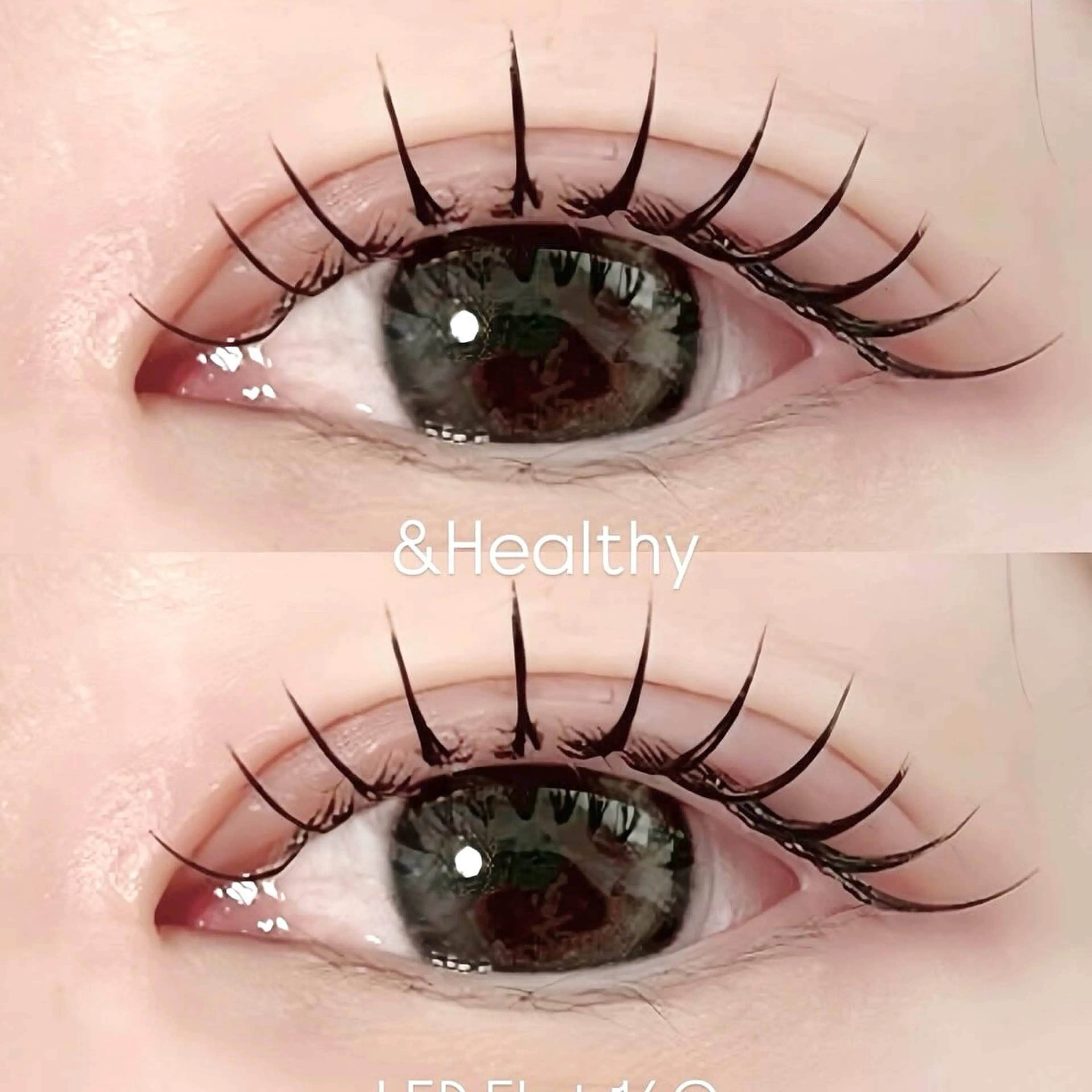 【OPEN記念】アンドヘルシー 120本🌷オフなしの写真