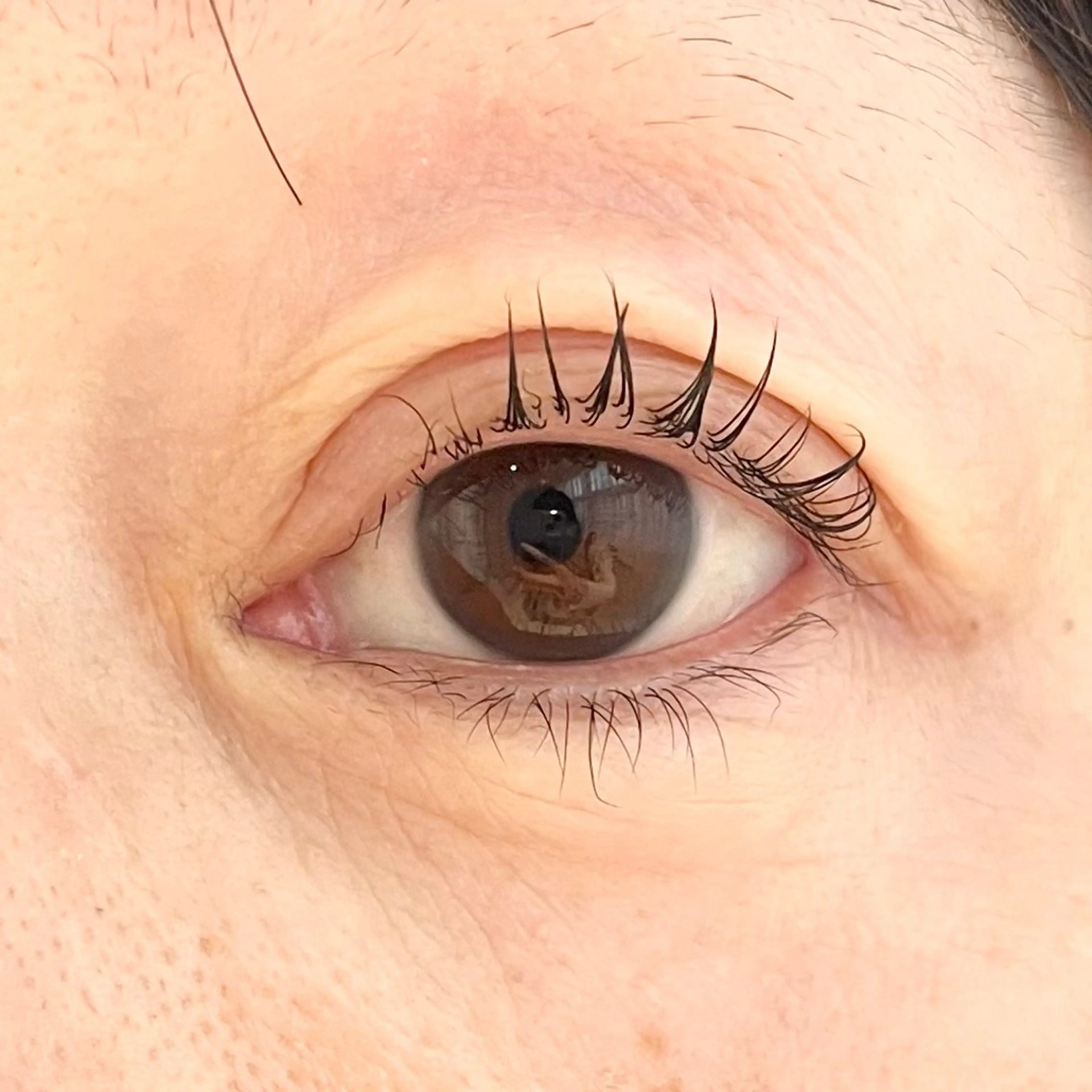 マツエク・マツパ キュート 藤原 希帆のマツエク・マツパデザイン