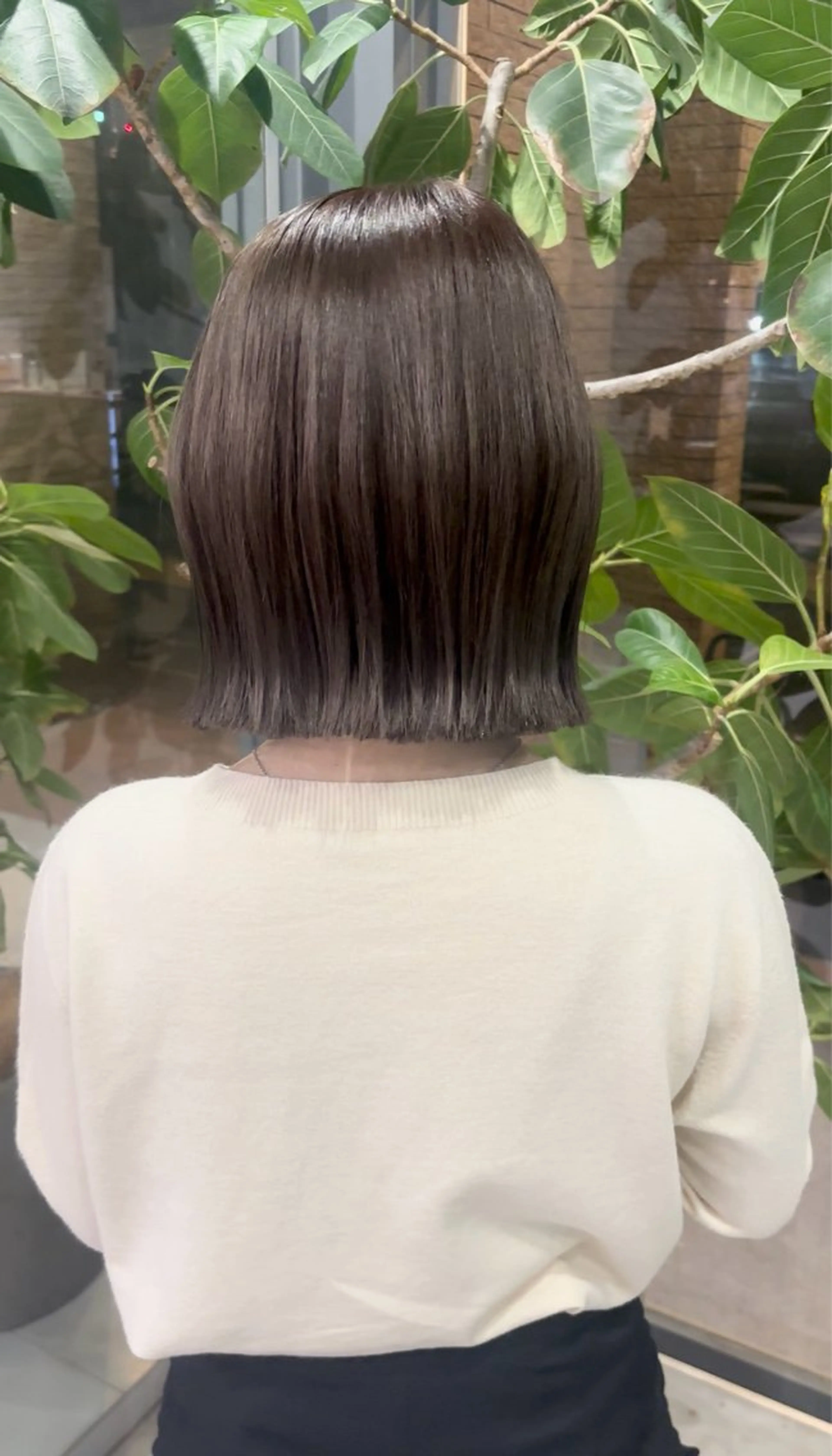 🌟モデル募集🌟【minimo限定】ボブカット＋オージュア3step トリートメント☆*:.｡.の写真