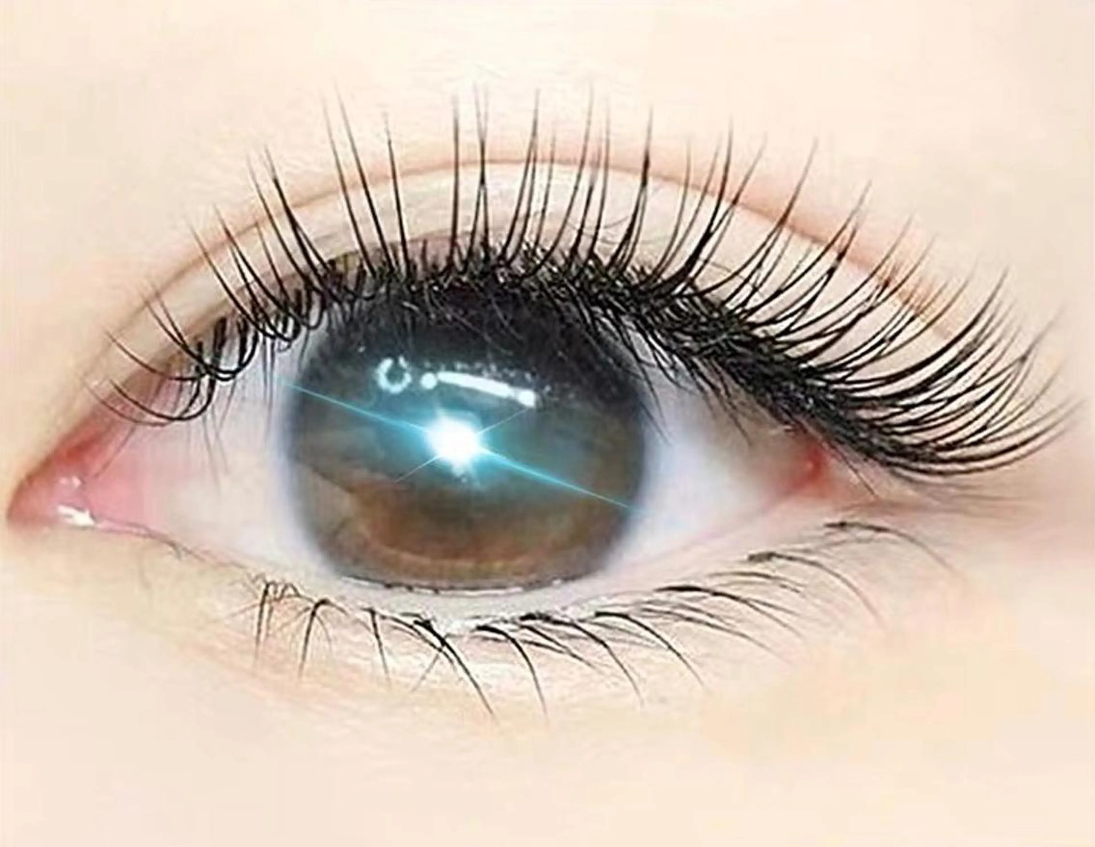 マツエク・マツパ Livnus リブナスのマツエク・マツパデザイン