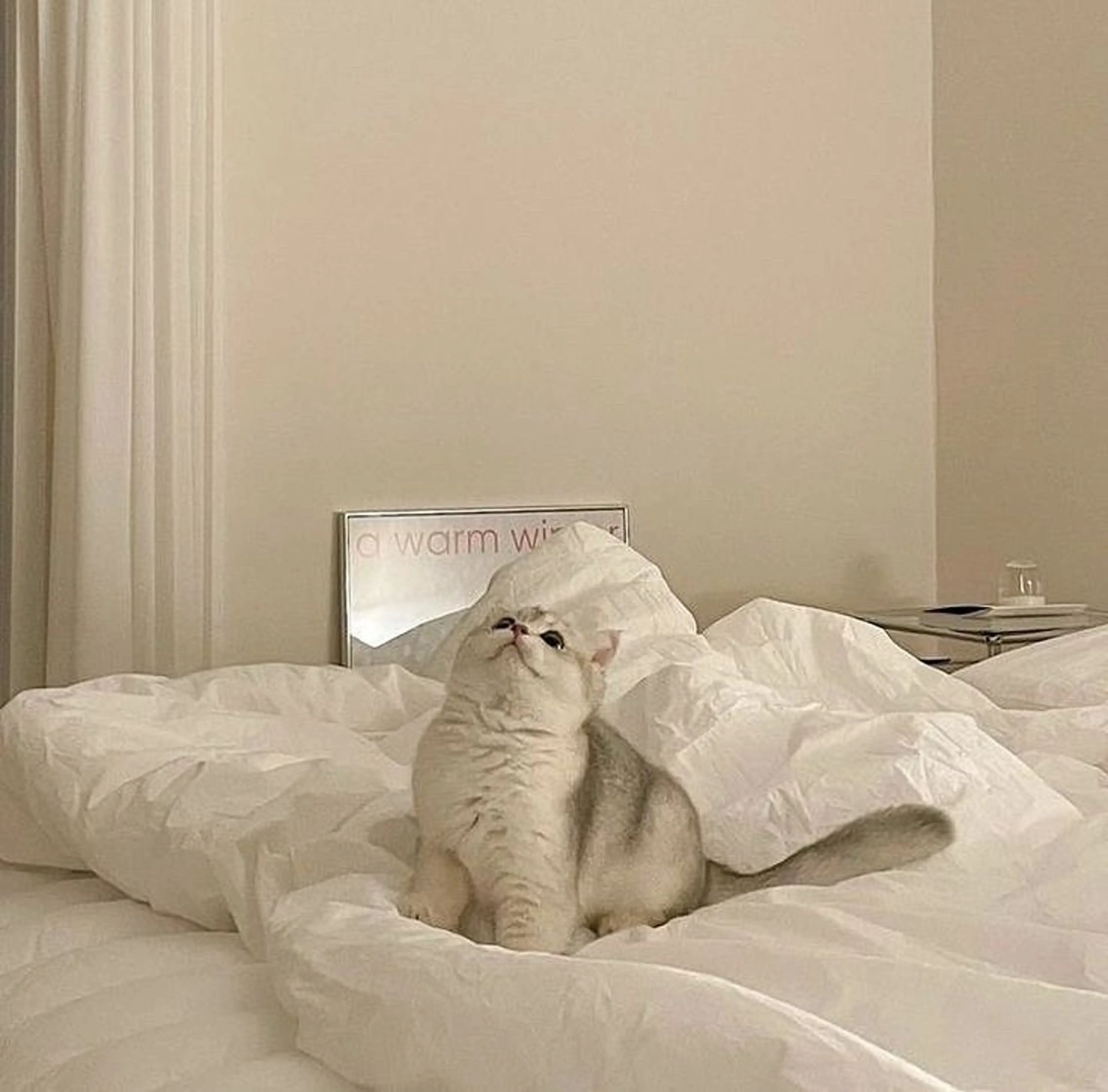 miyu 🍦のマツエク・マツパデザイン