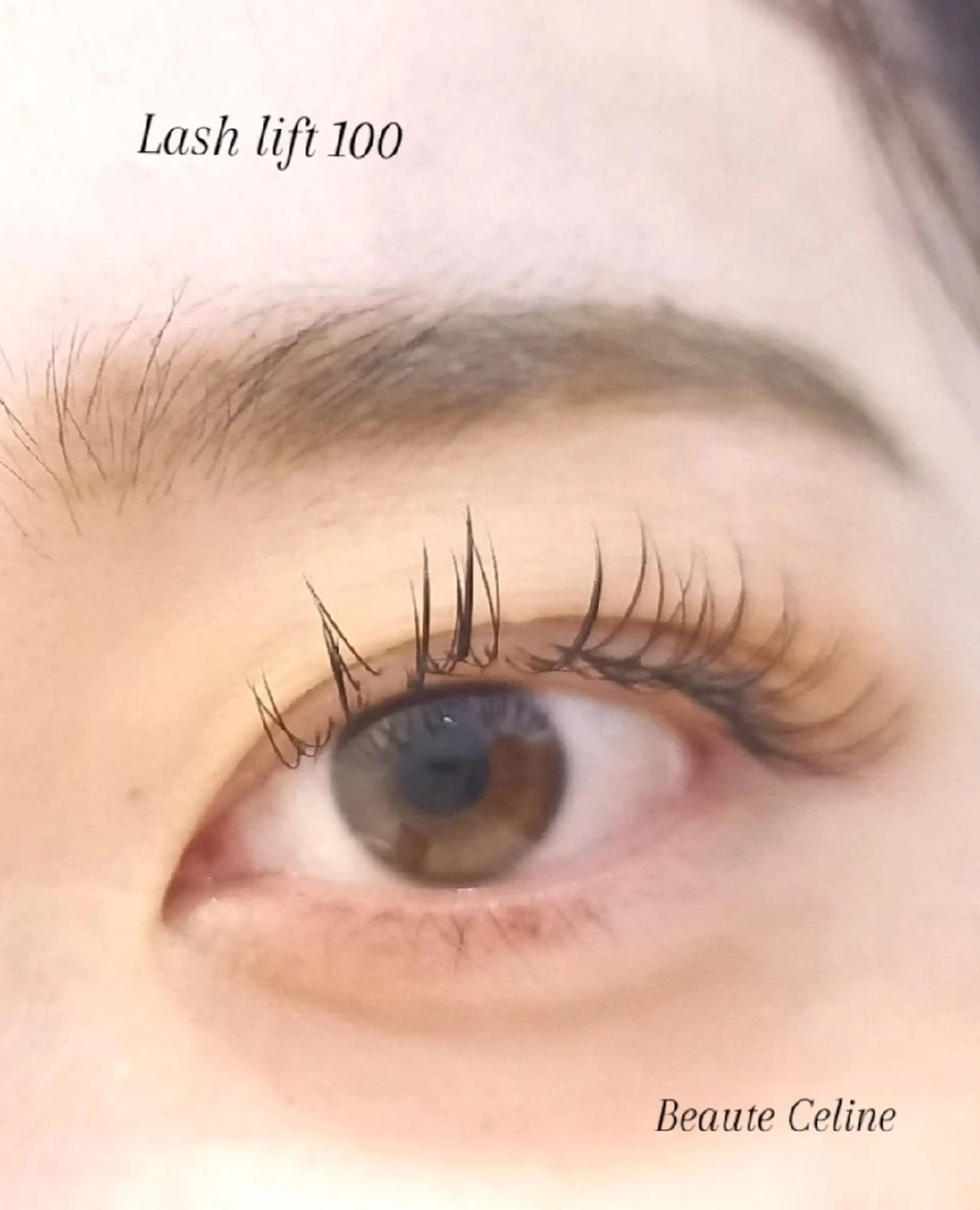 フラットラッシュ/セーブル100本⭐オフありの写真