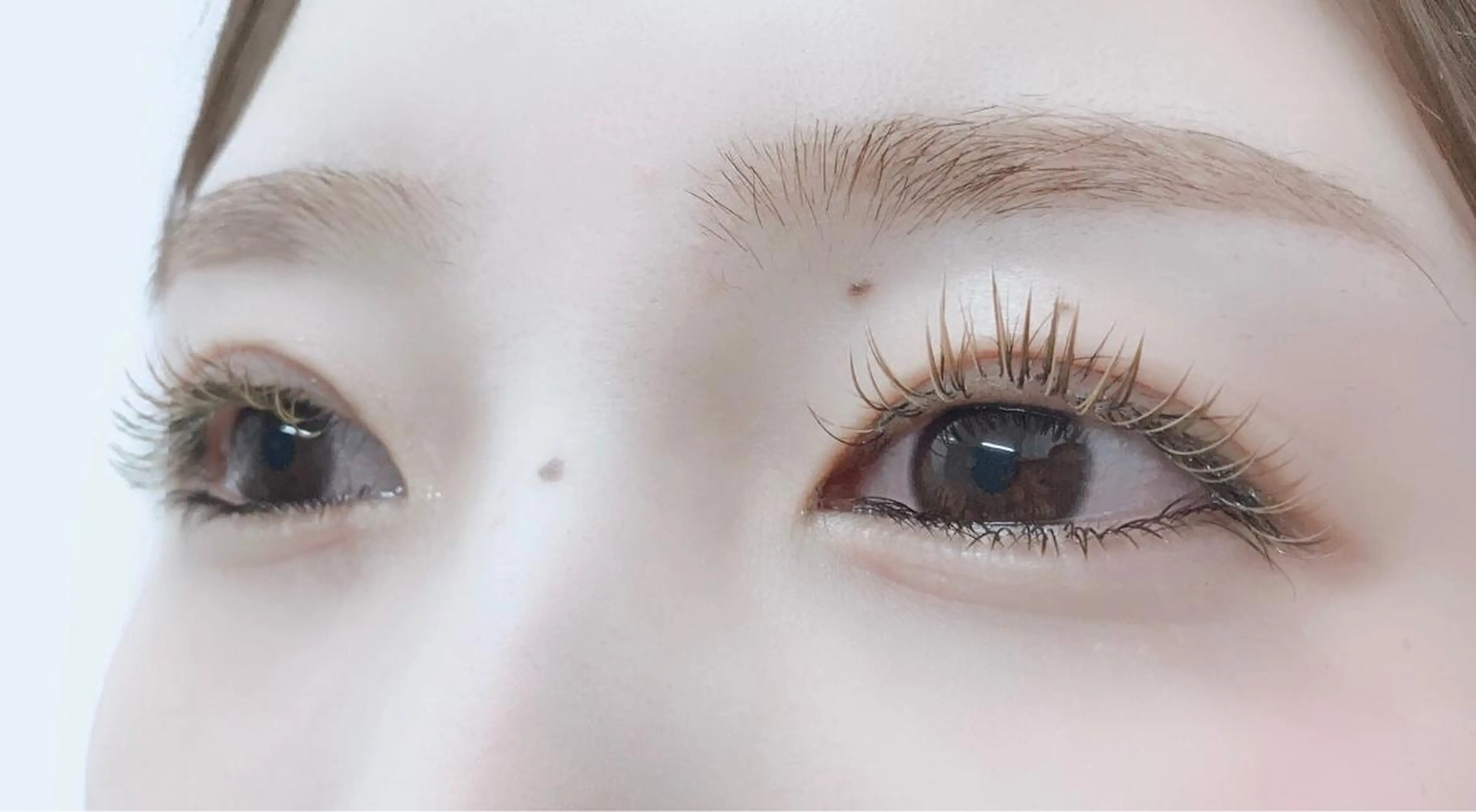 マツエク・マツパ カラーマツエク セーブル マツエク ELLA 菊地のマツエク・マツパデザイン