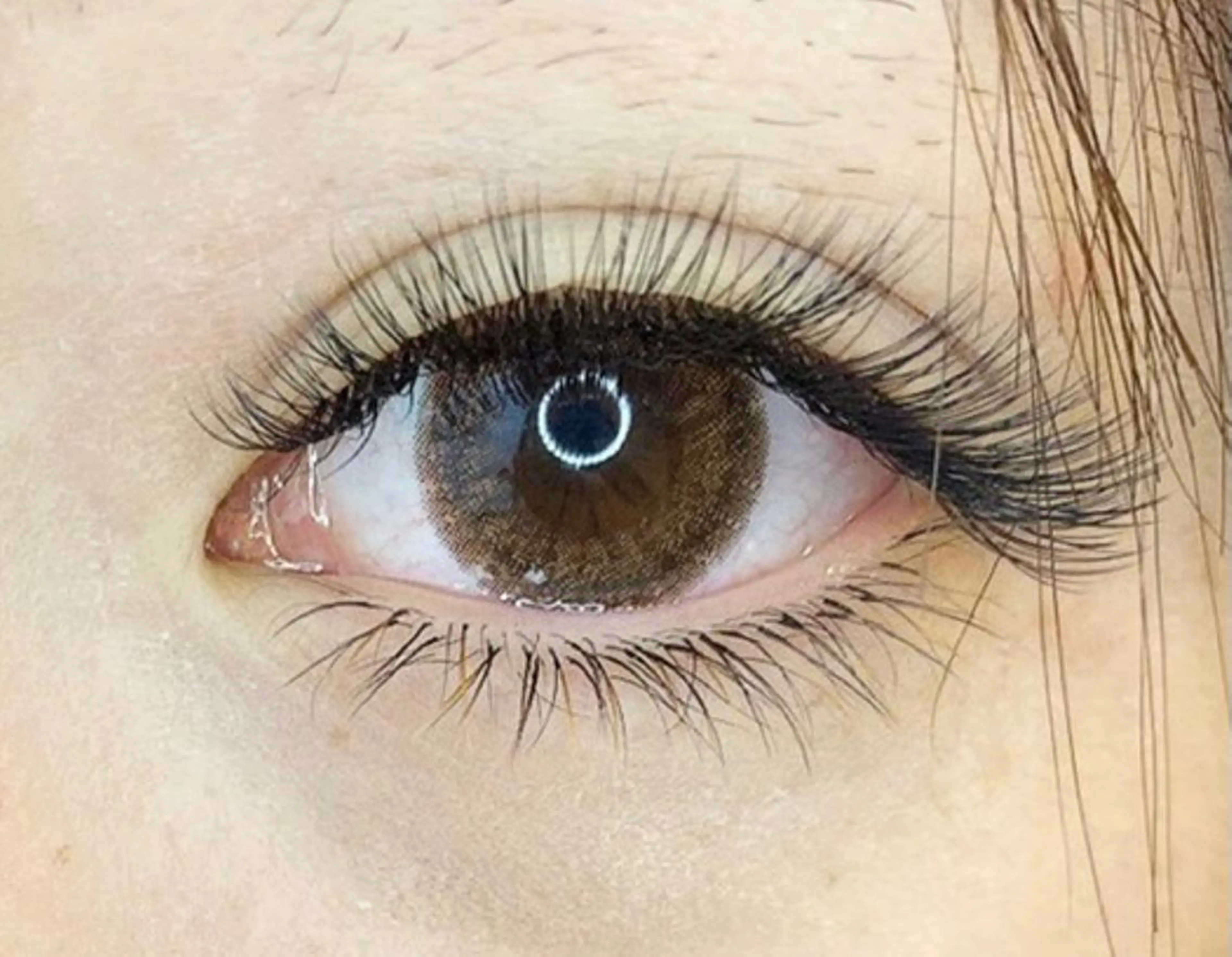 下まつげ付け放題の写真