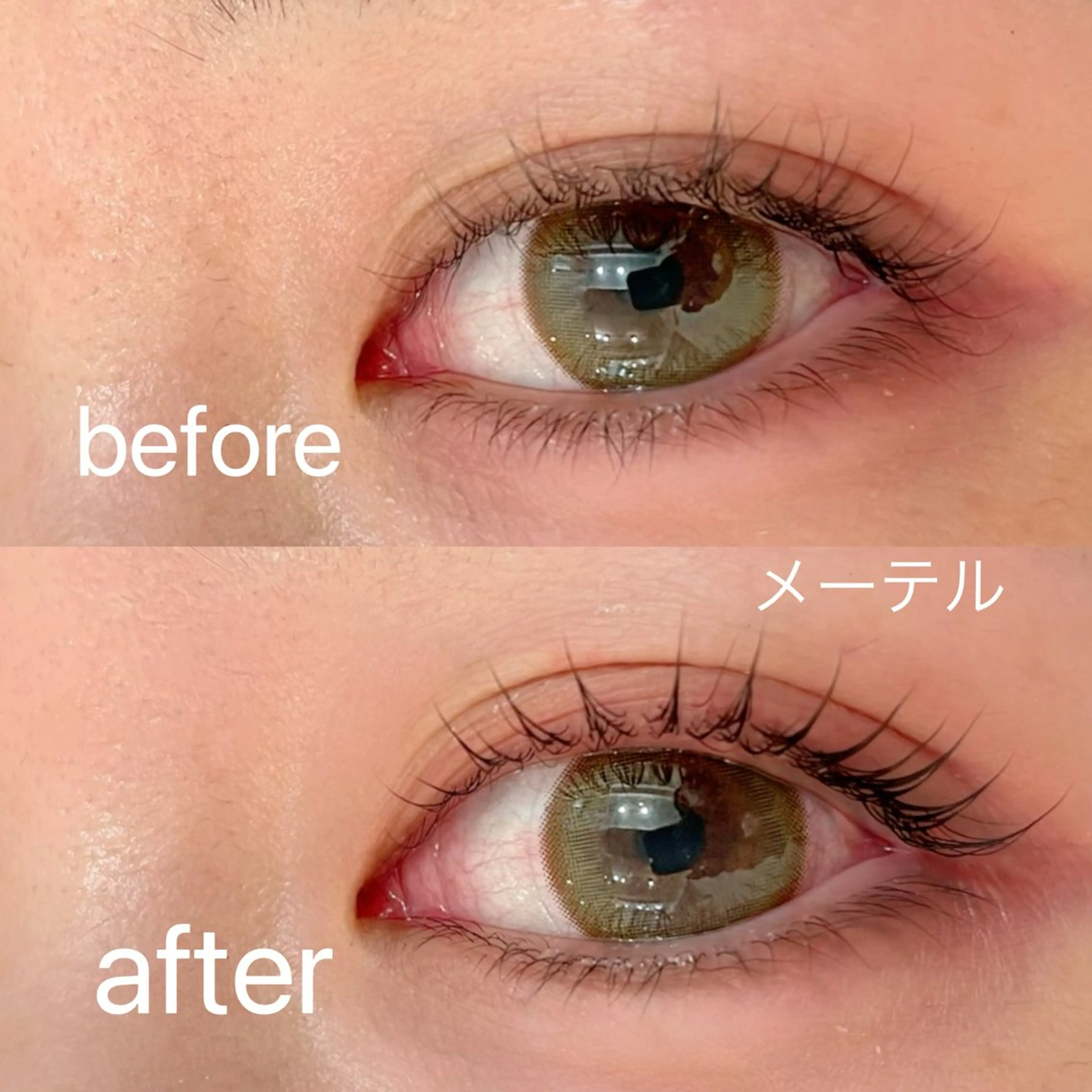 【練習モデルさん募集】👀メーテルラッシュリフト(タレ目風のデザインパーマ)の写真