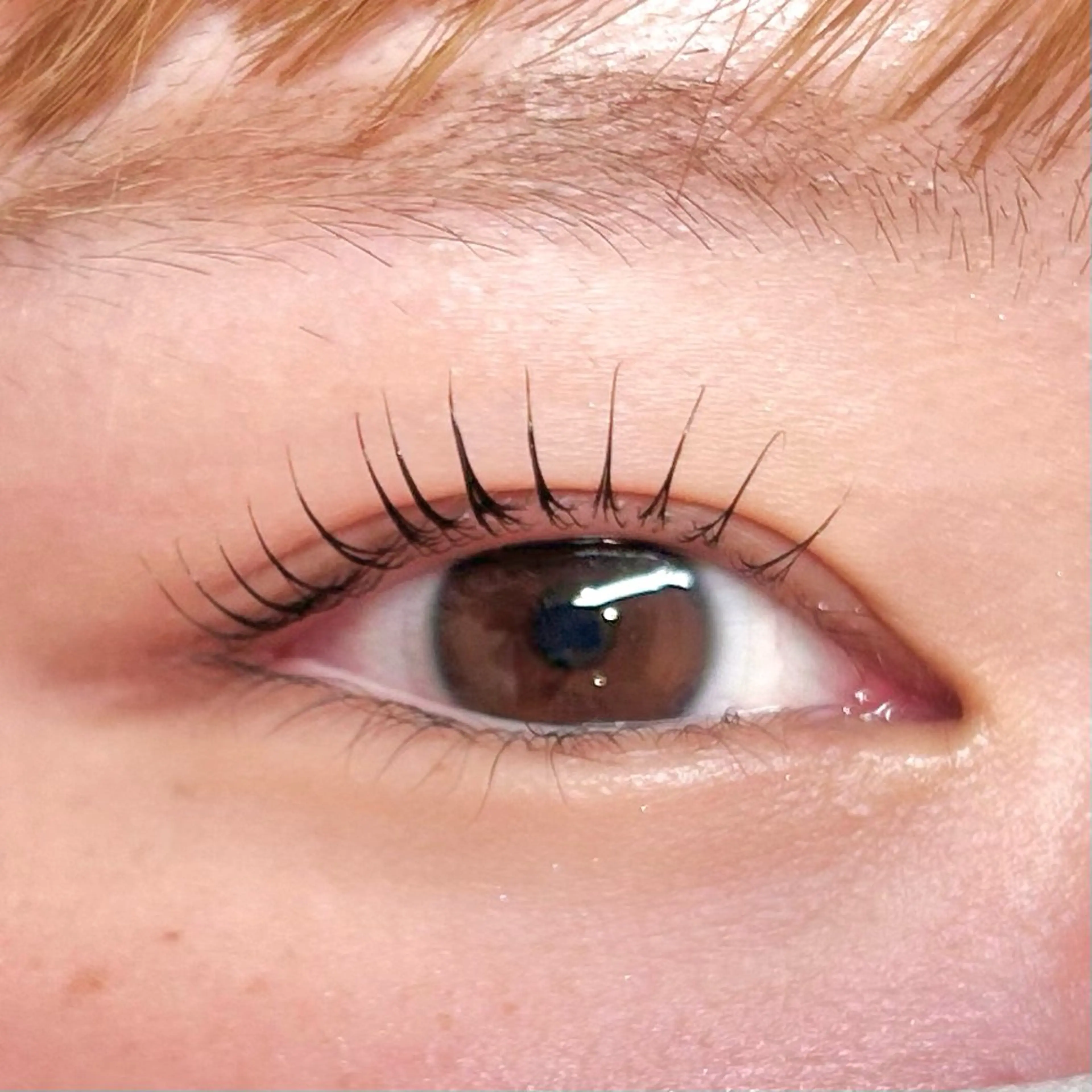 マツエク・マツパ アイブロウ/HBL 🦄MEMEの眉毛・アイブロウイメージ