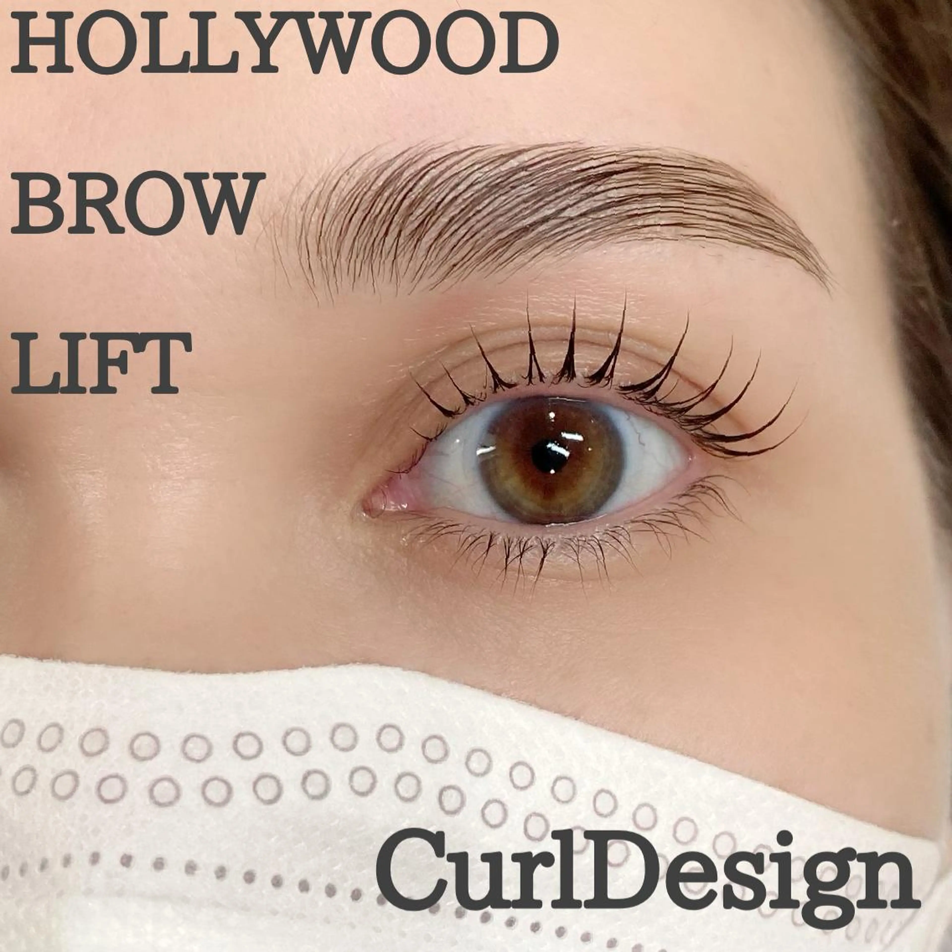HollywoodblowLift ハリウッドブロウリフト眉ワックス付き🍀の写真