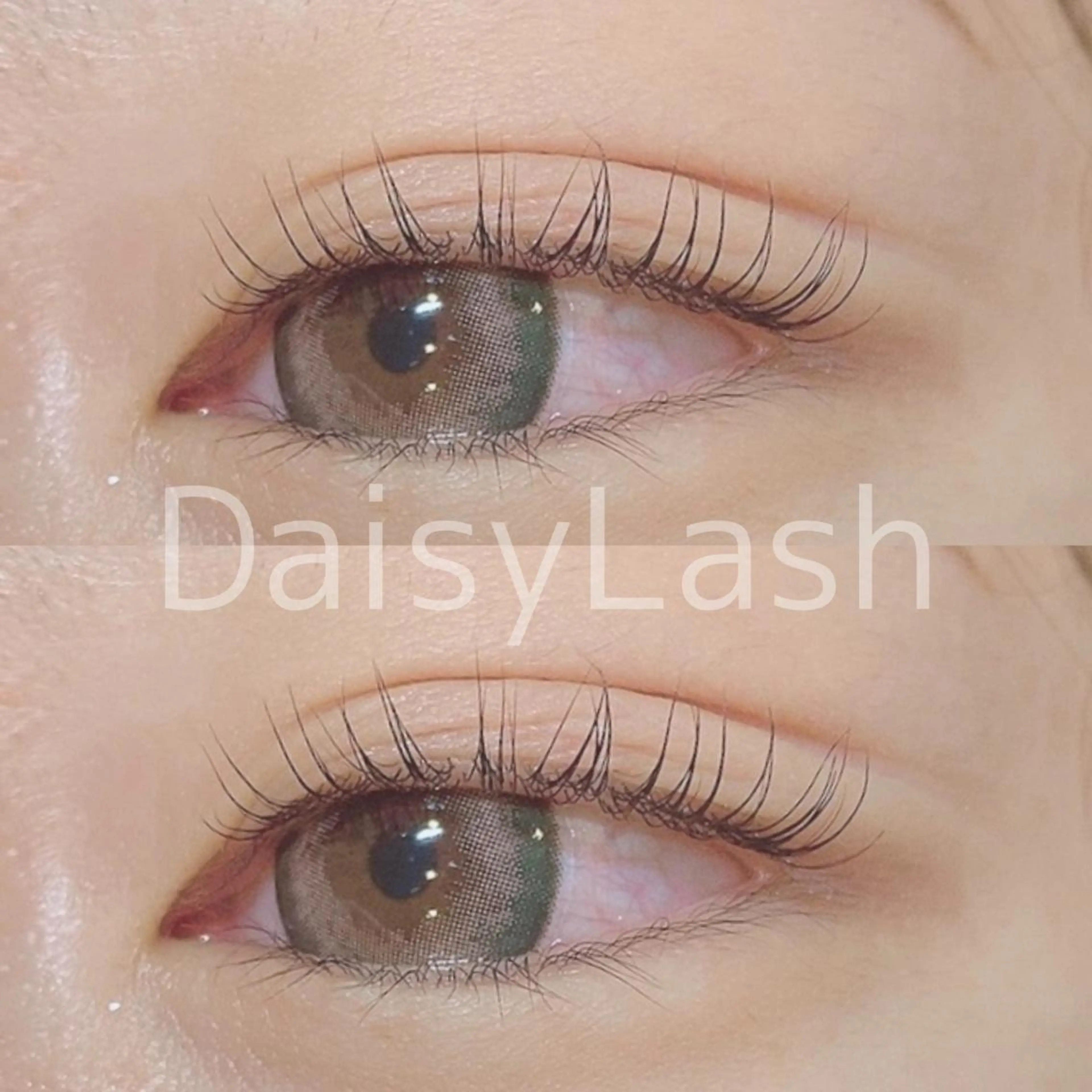 マツエク・マツパ DaisyLash 京橋店のマツエク・マツパデザイン