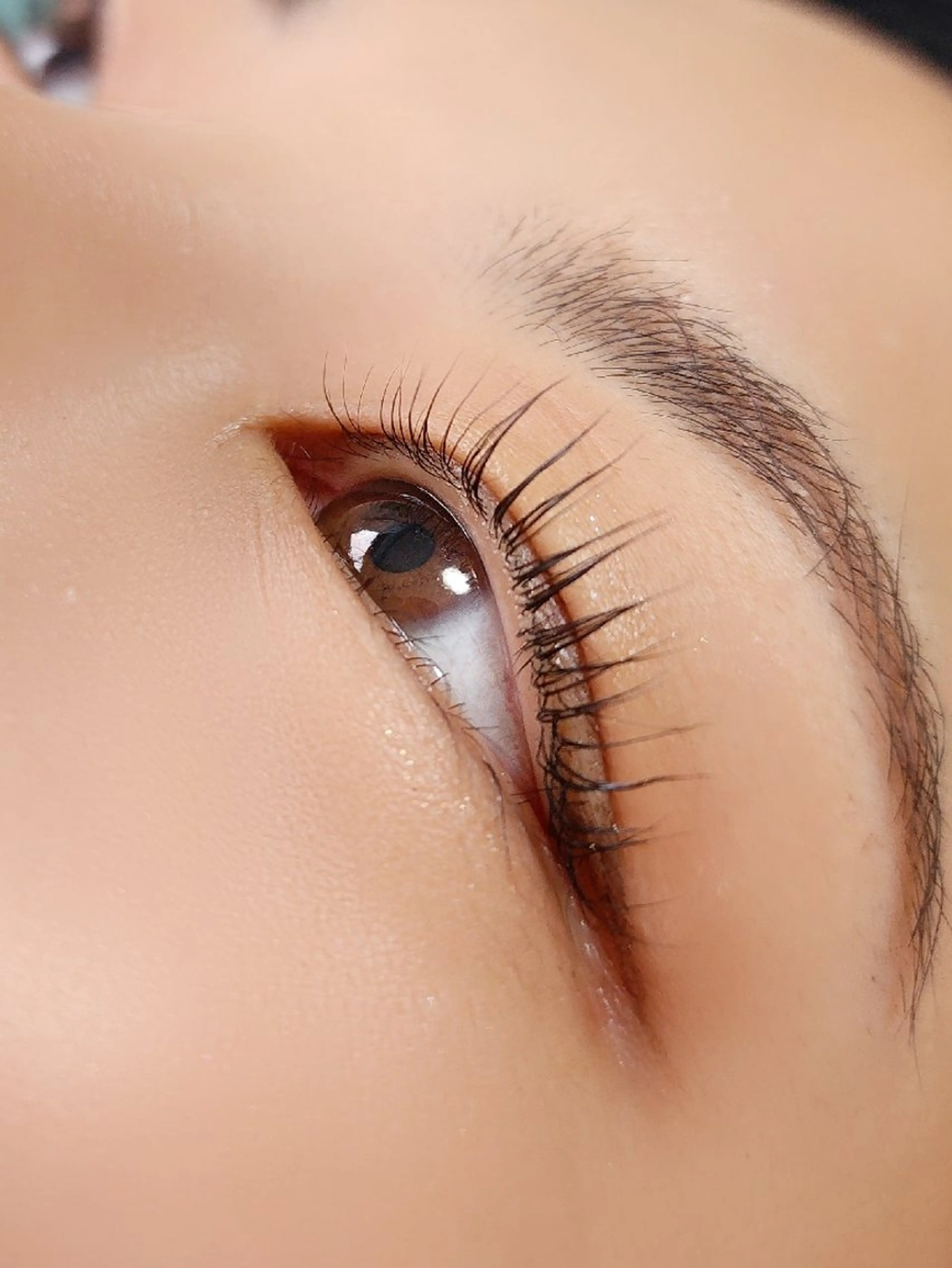 マツエク・マツパ 付け放題 バインドロック 束感まつ毛 カラーマツエク フラットラッシュ M salon アイラッシュのマツエク・マツパデザイン