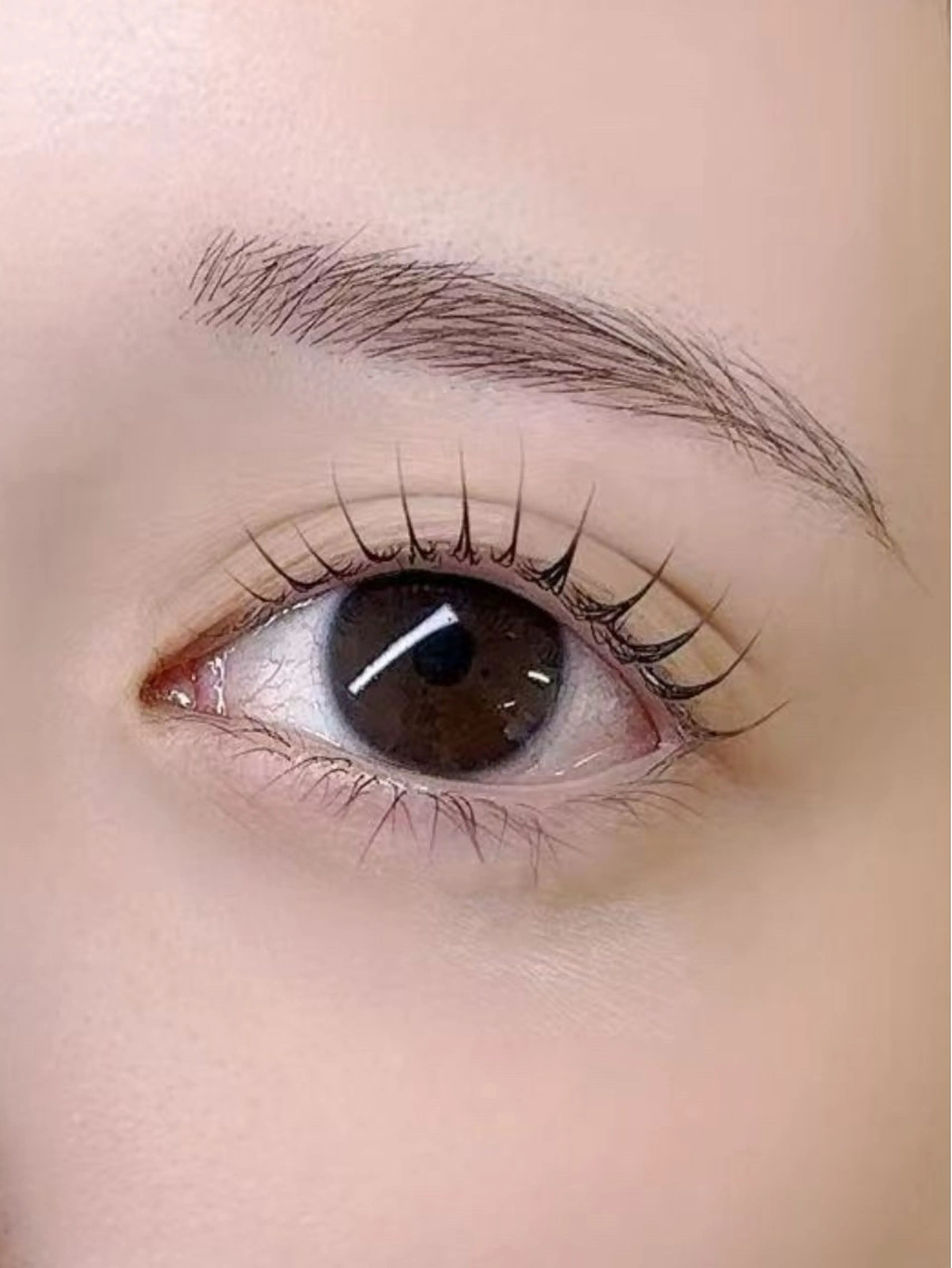 韓国風上まつ毛パーマ似合わせカールデザイン ¥ 4500束感コーティング仕上の写真