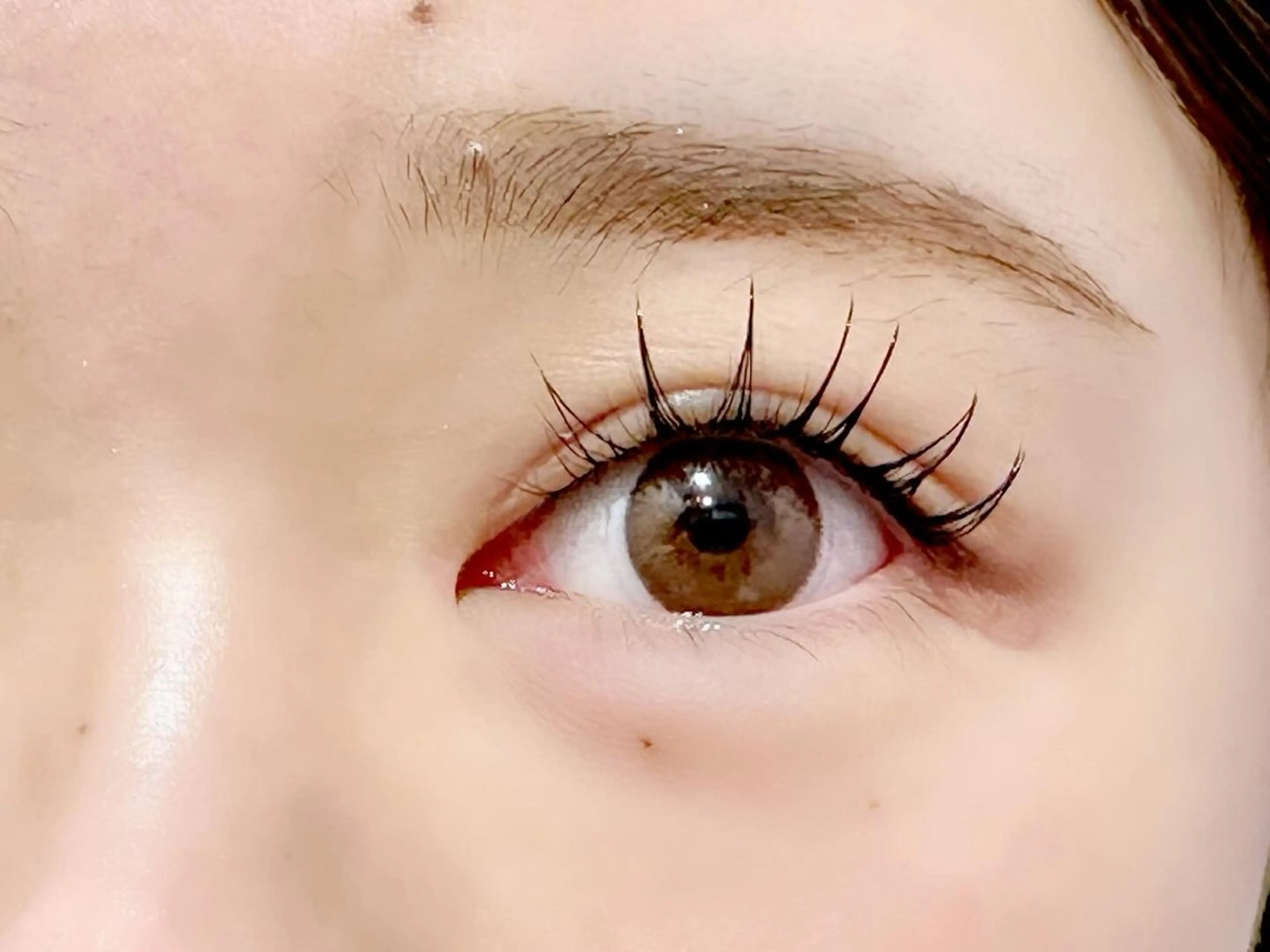 🐾ミニモ限定🐾パリエク、リフエク(LEDエクステのみ)80本の写真